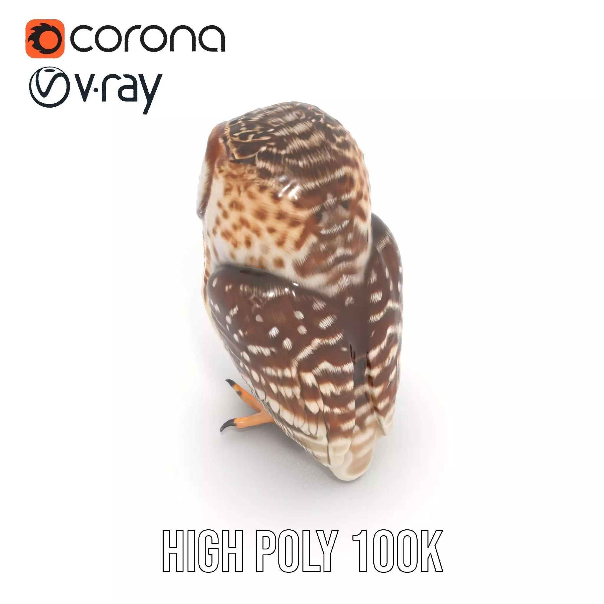 Spotted Owl Figurine model pack Low-poly 3D model_26
