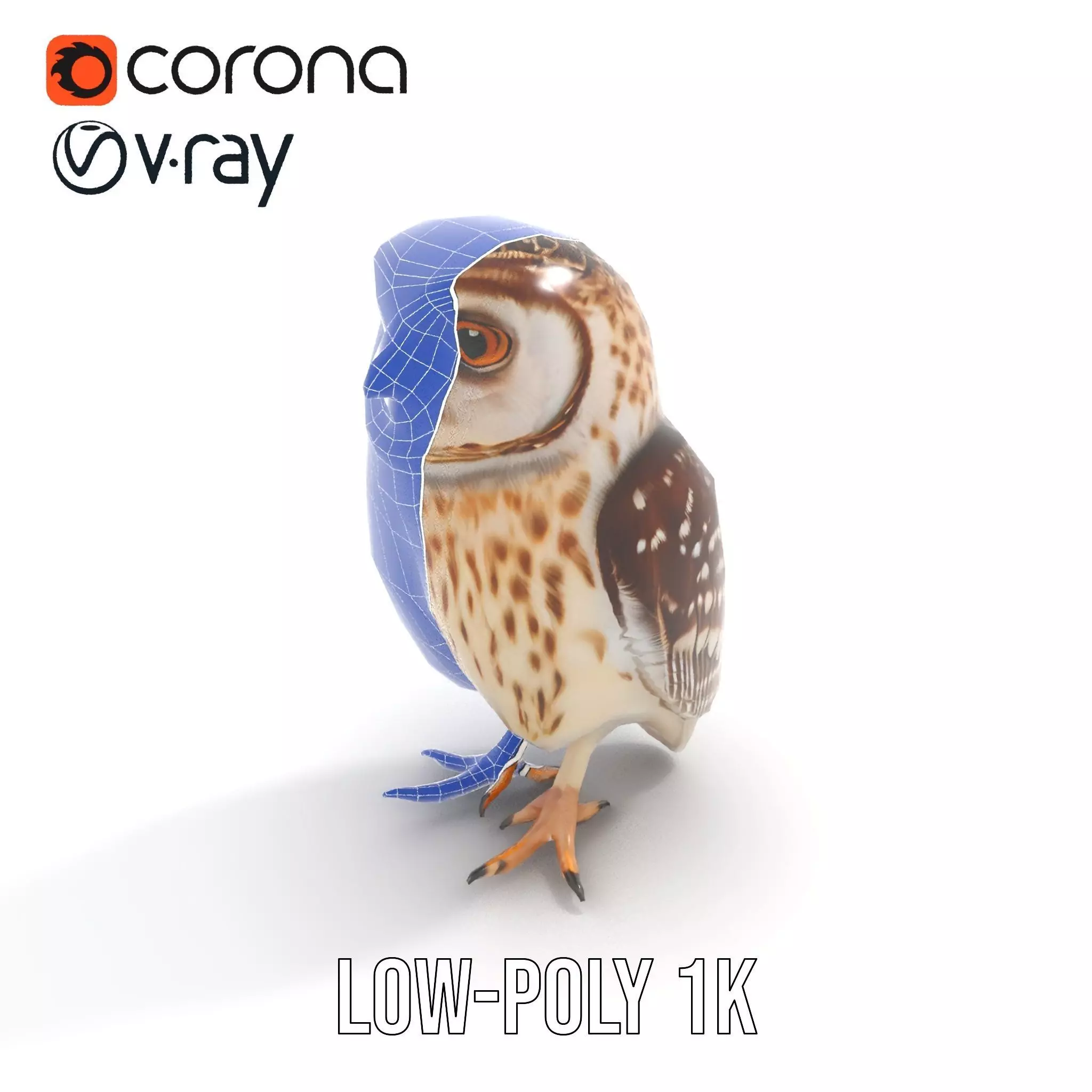 Spotted Owl Figurine model pack Low-poly 3D model_30