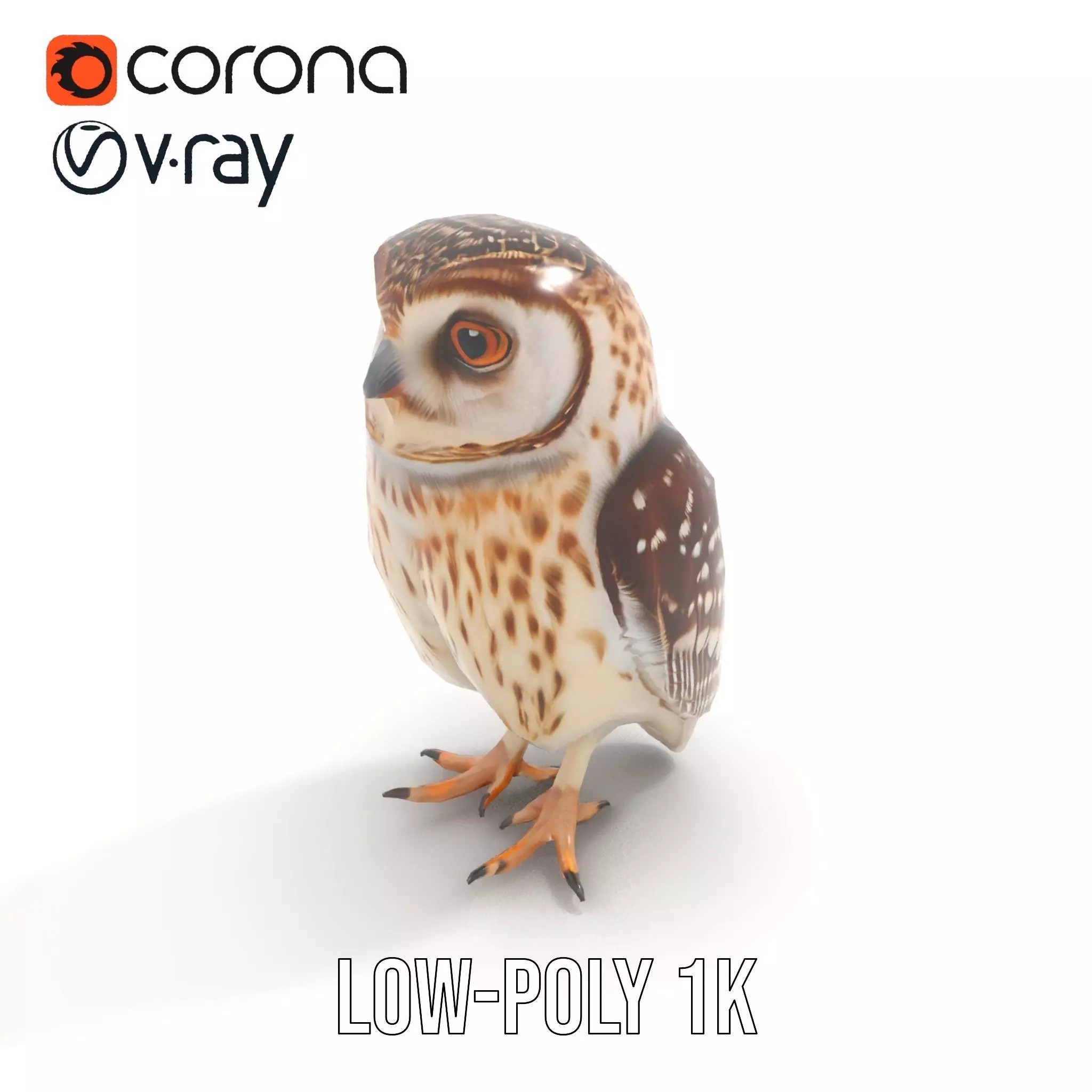Spotted Owl Figurine model pack Low-poly 3D model_22