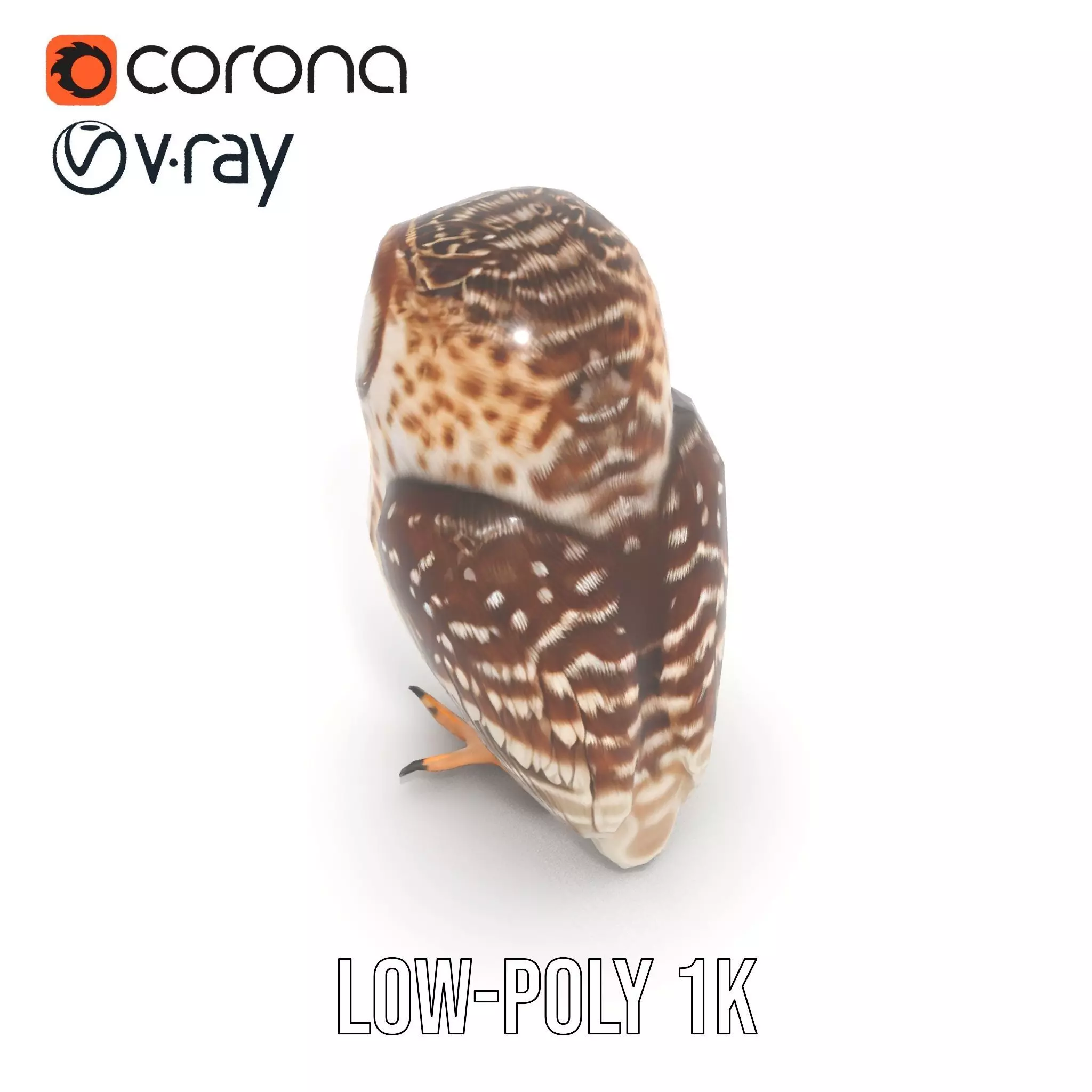 Spotted Owl Figurine model pack Low-poly 3D model_9