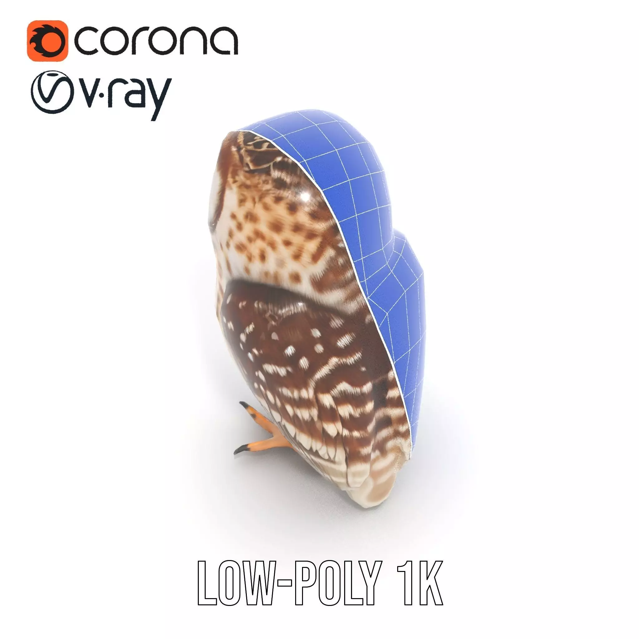 Spotted Owl Figurine model pack Low-poly 3D model_28