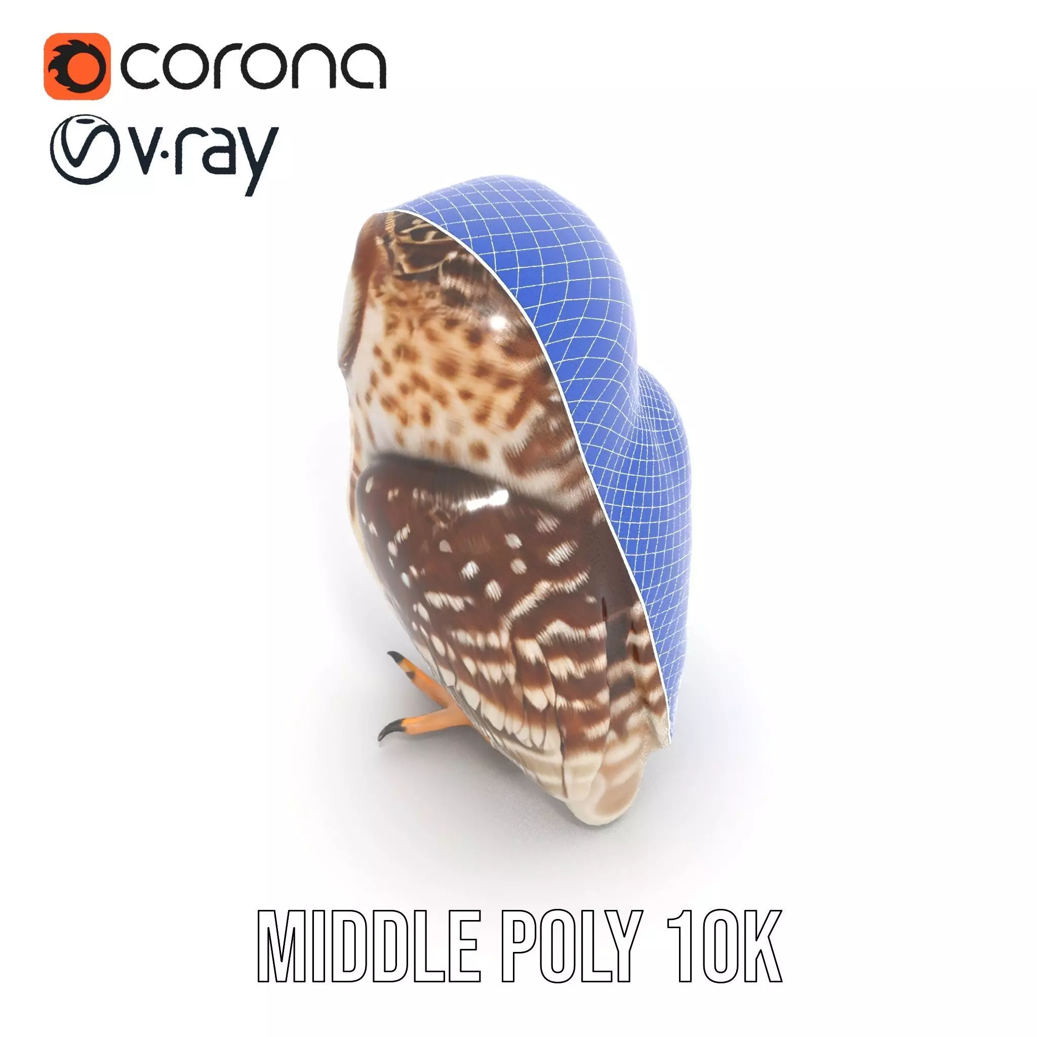 Spotted Owl Figurine model pack Low-poly 3D model_29