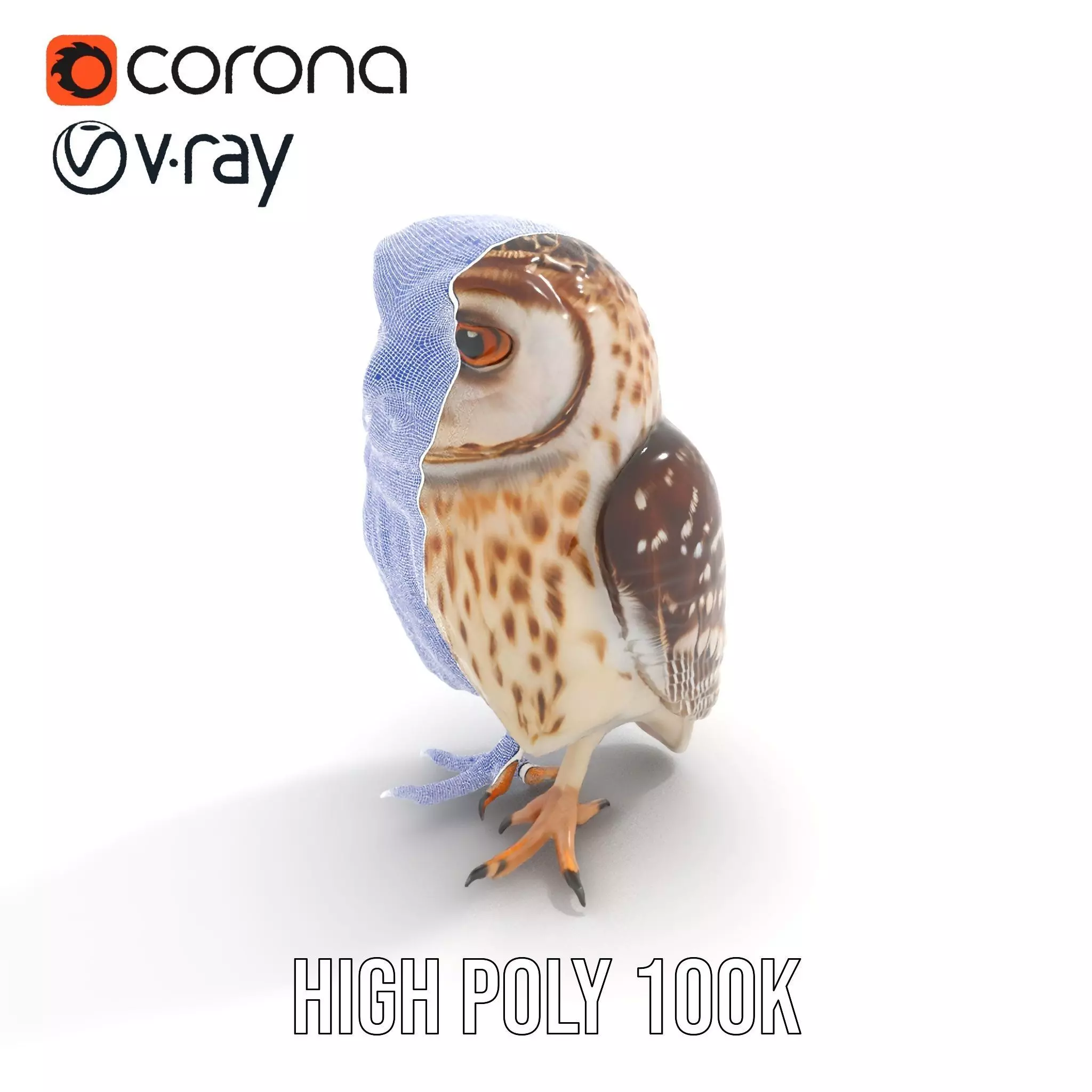 Spotted Owl Figurine model pack Low-poly 3D model_20