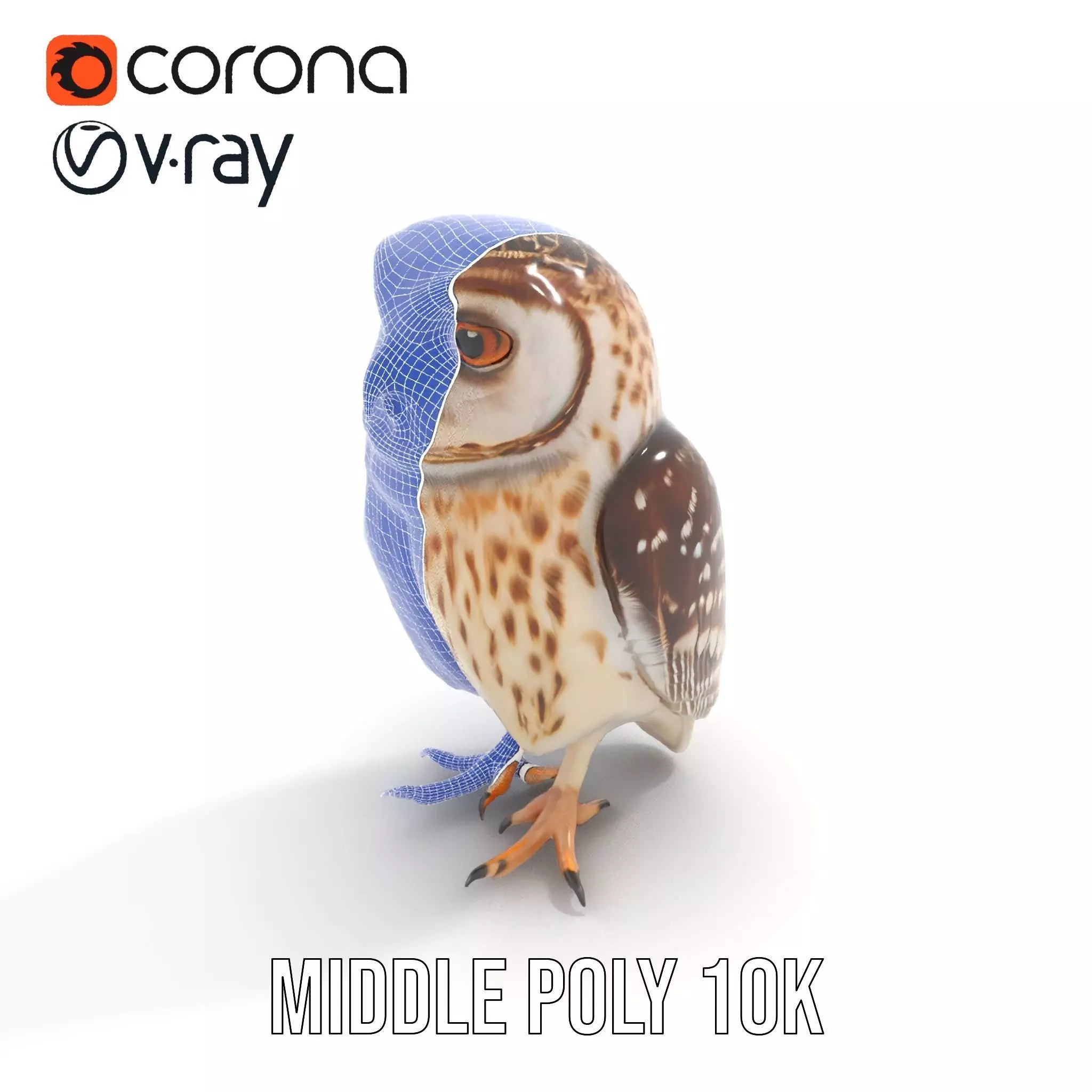 Spotted Owl Figurine model pack Low-poly 3D model_21