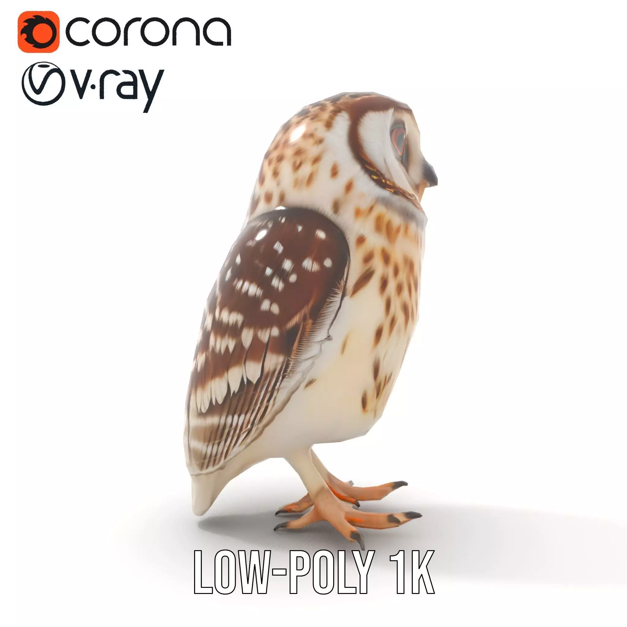 Spotted Owl Figurine model pack Low-poly 3D model_17