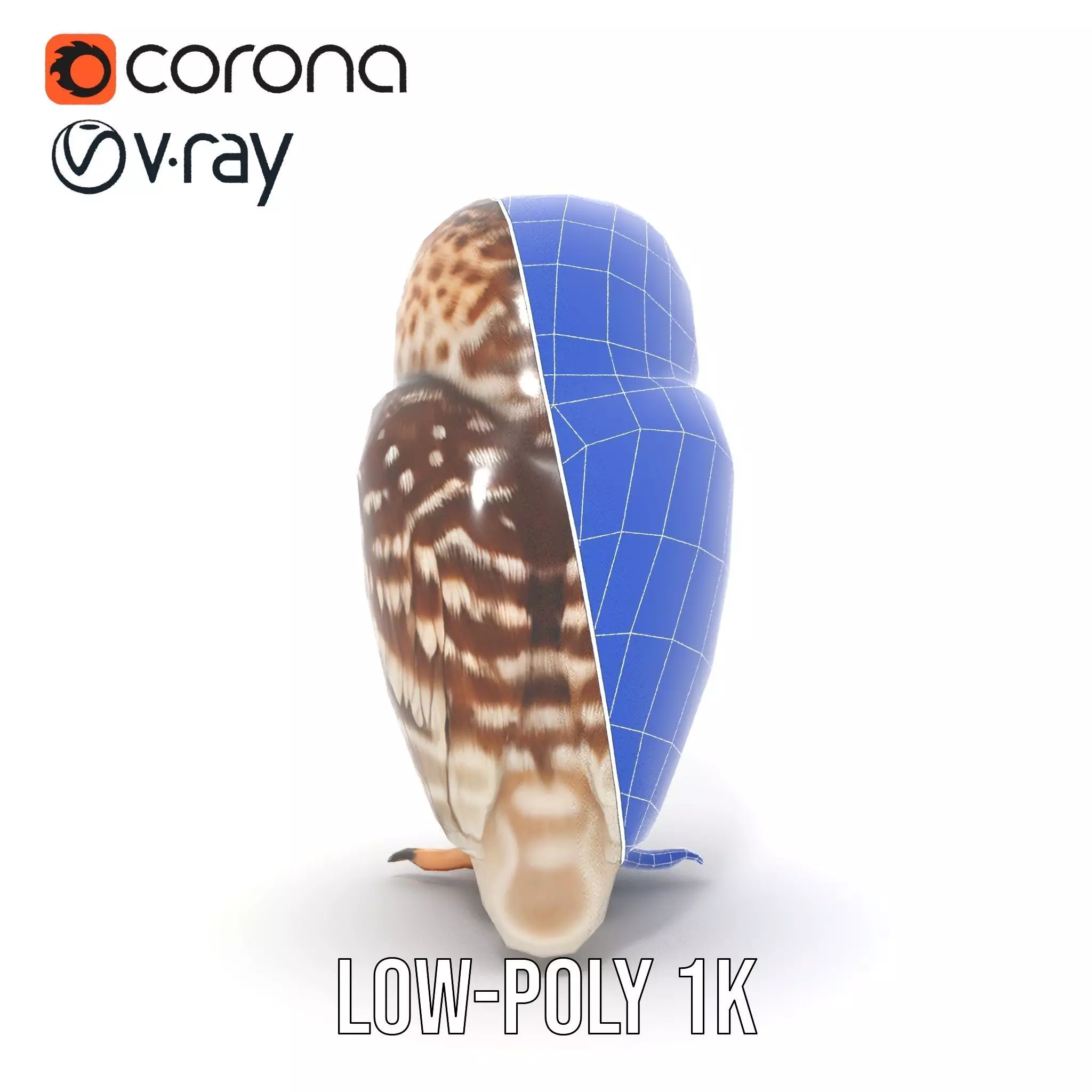 Spotted Owl Figurine model pack Low-poly 3D model_25