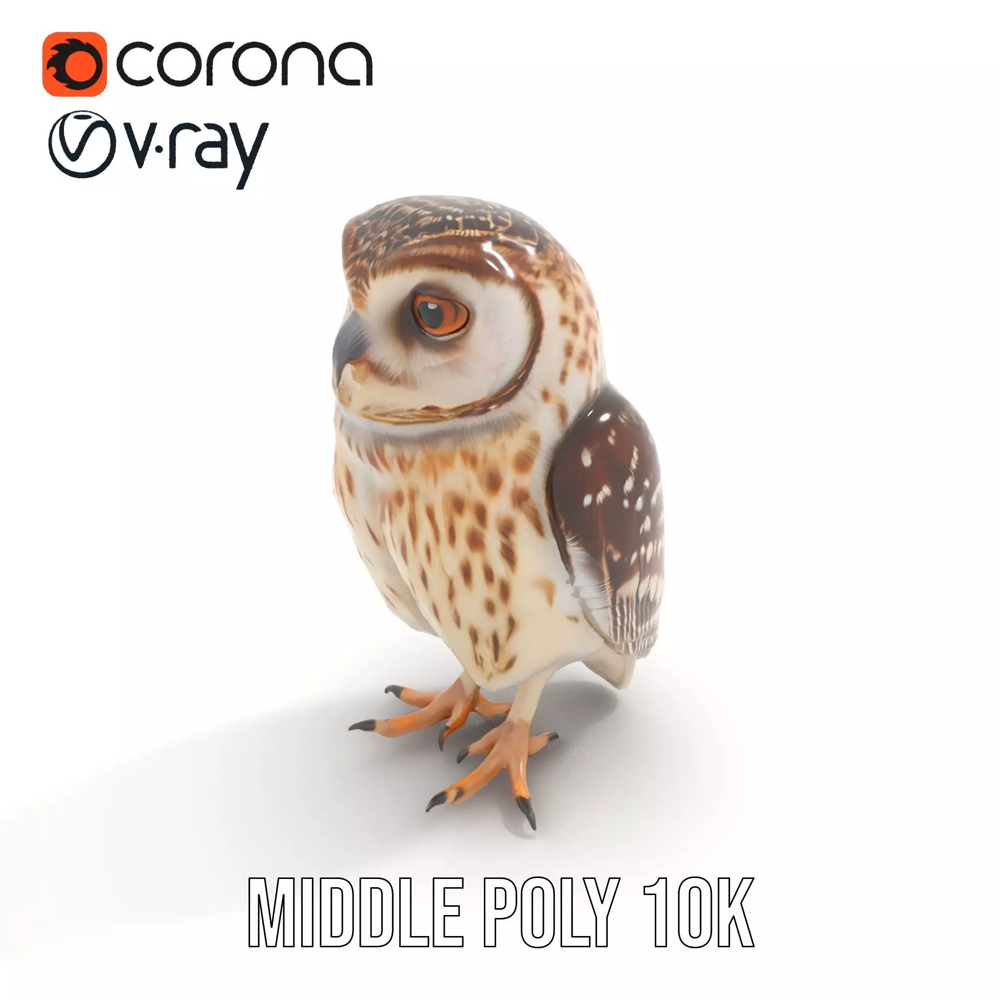 Spotted Owl Figurine model pack Low-poly 3D model_11