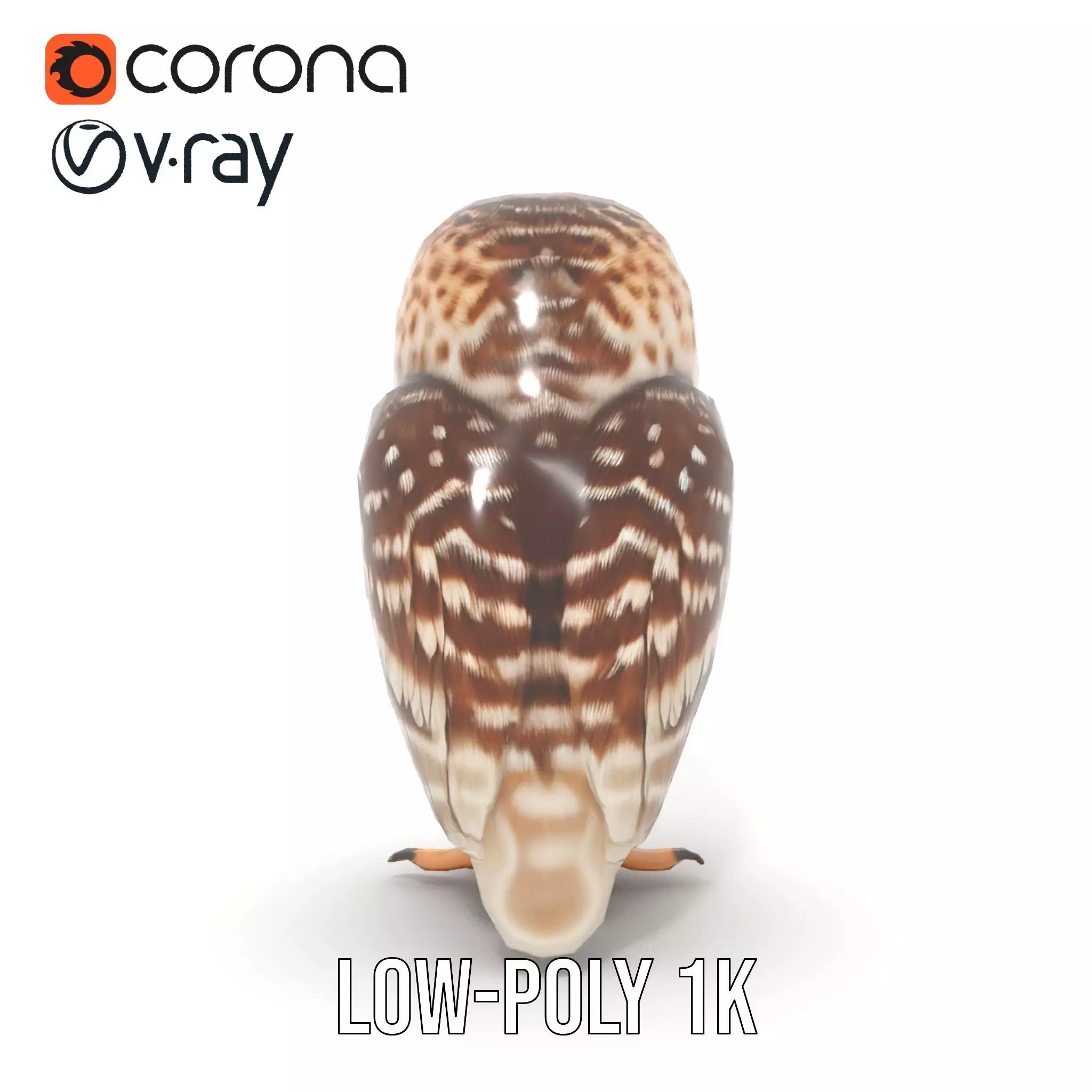 Spotted Owl Figurine model pack Low-poly 3D model_19