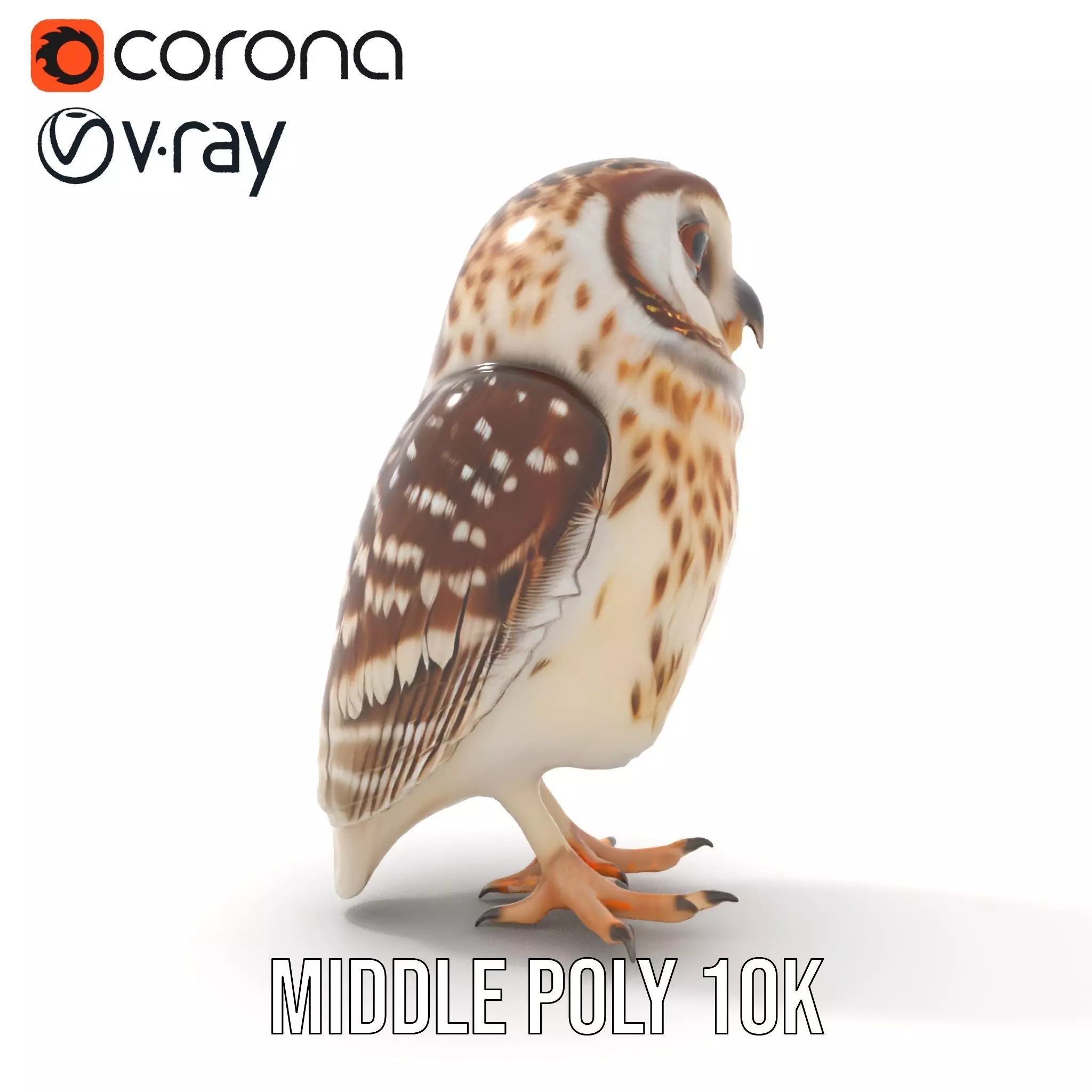 Spotted Owl Figurine model pack Low-poly 3D model_13
