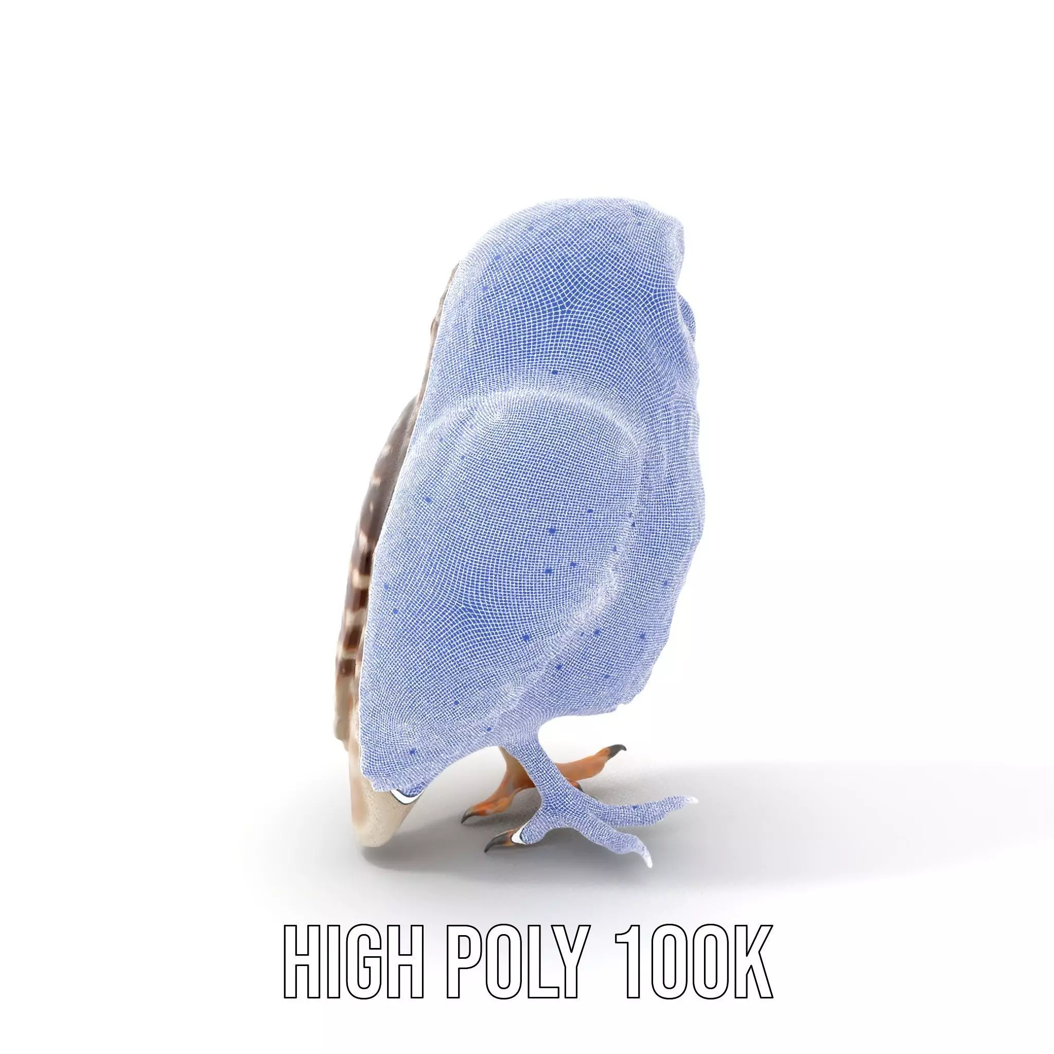 Spotted Owl Figurine model pack Low-poly 3D model_4