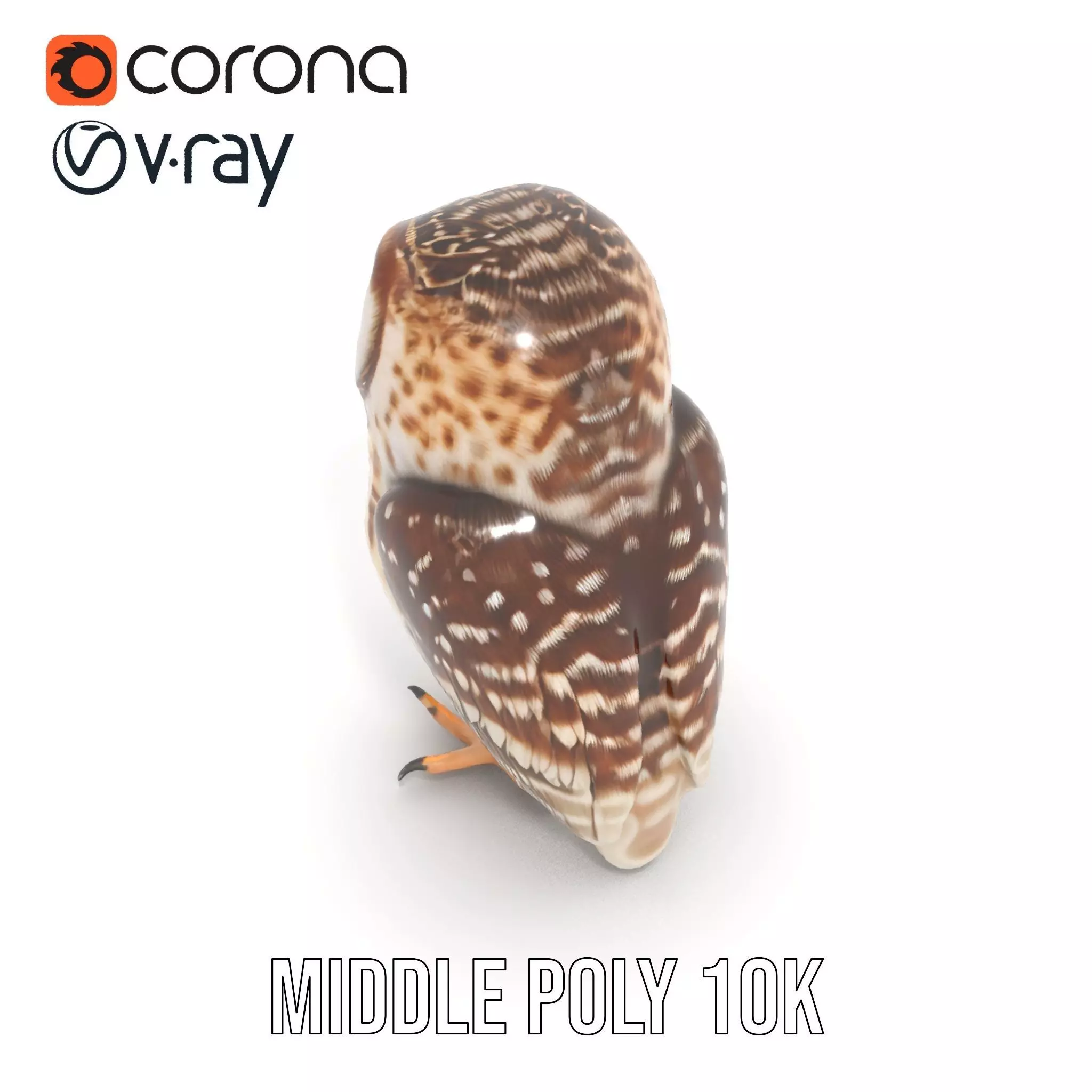 Spotted Owl Figurine model pack Low-poly 3D model_5