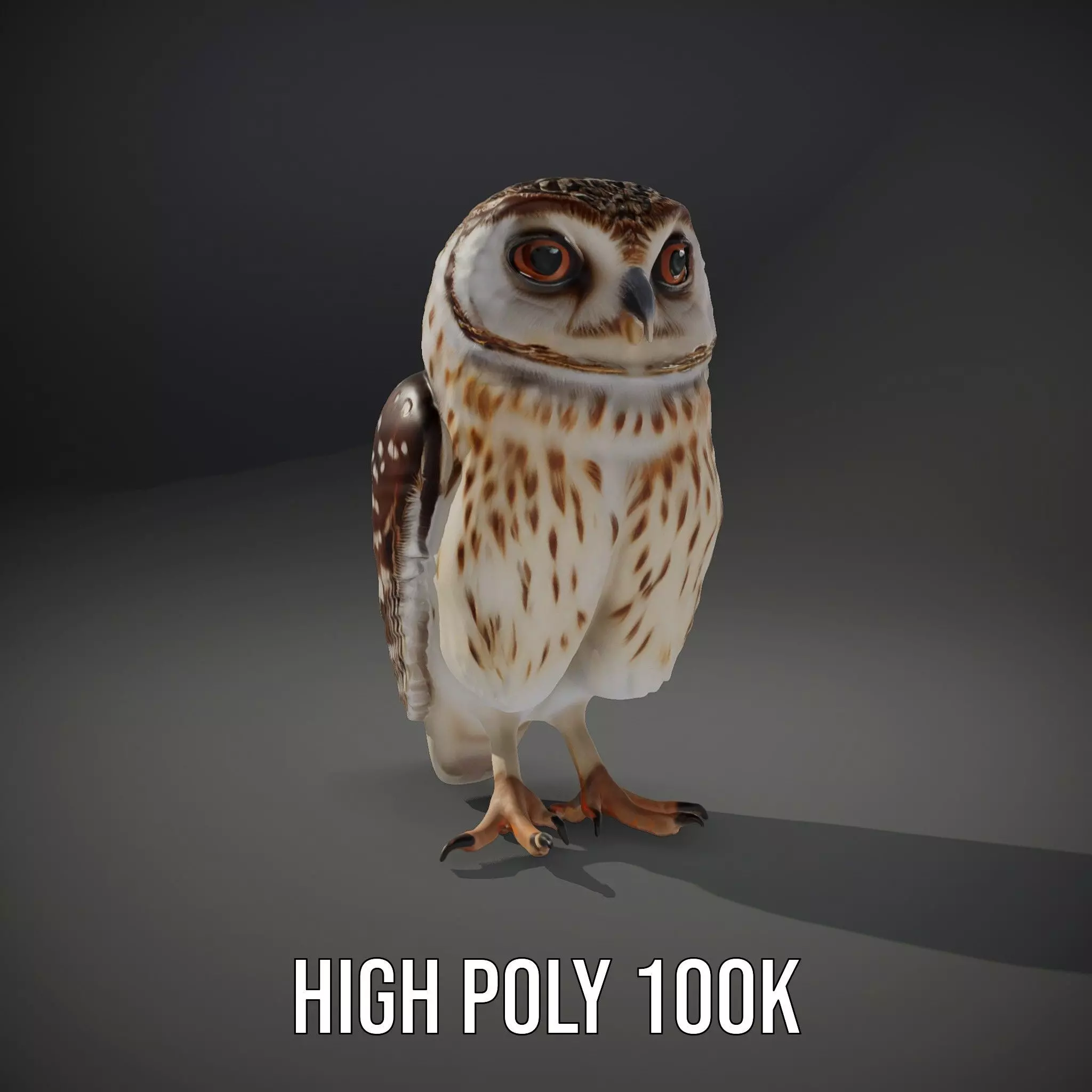 Spotted Owl Figurine model pack Low-poly 3D model_8