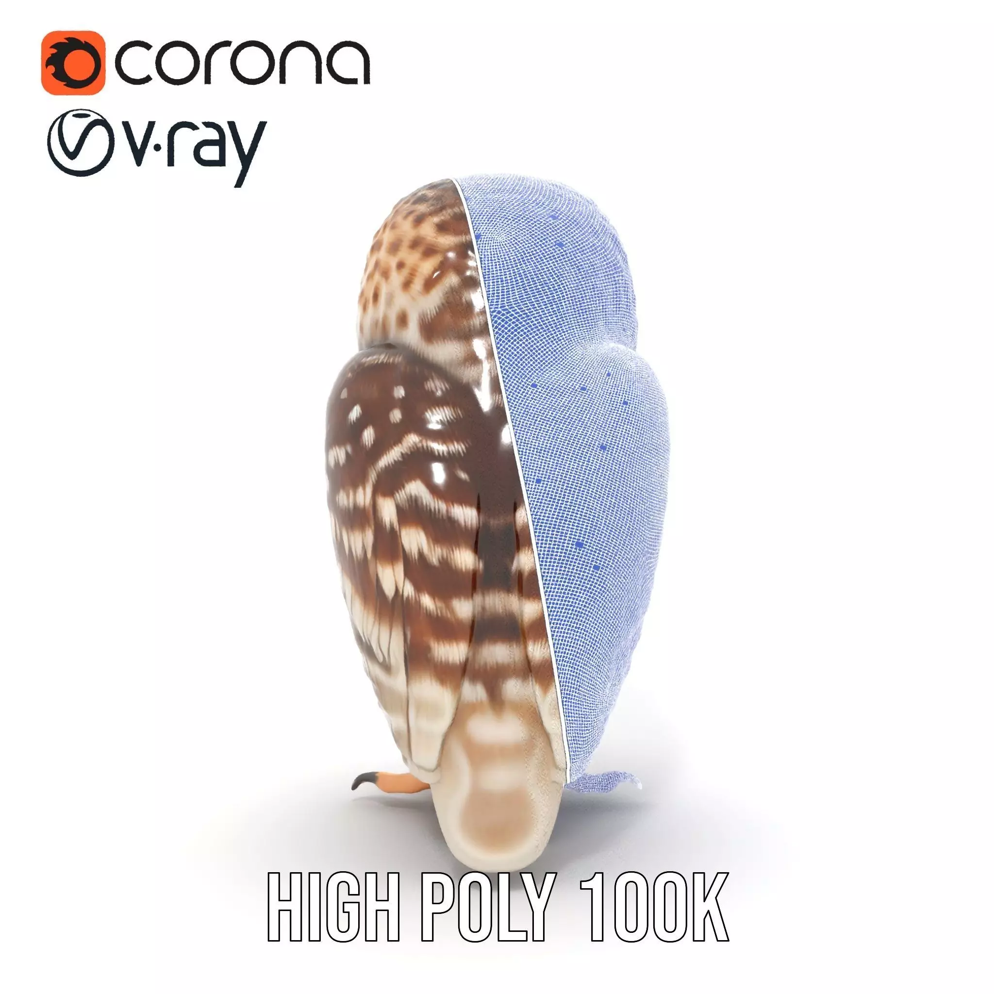 Spotted Owl Figurine model pack Low-poly 3D model_34