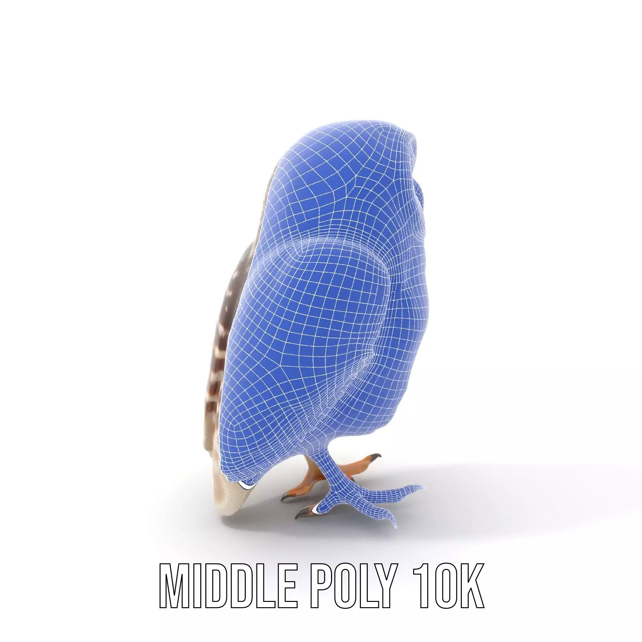 Spotted Owl Figurine model pack Low-poly 3D model_16