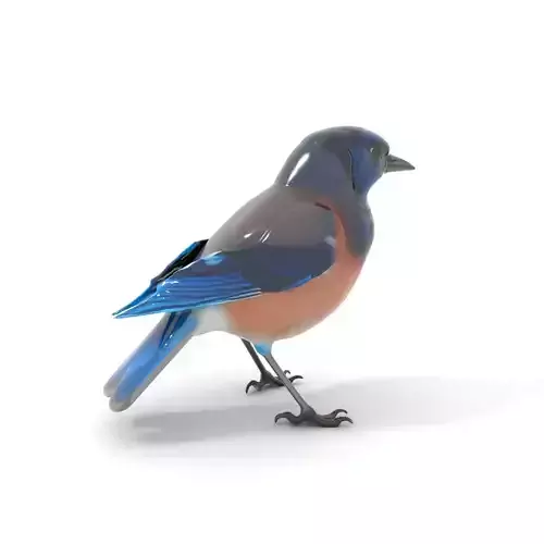 Azure Blue Jay model pack