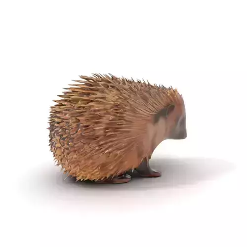 Spiky Hedgehog model pack
