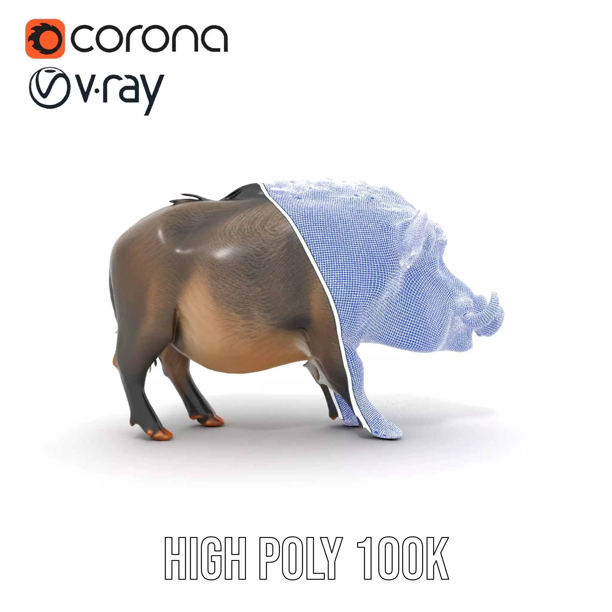 Wild Boar Detailed model pack Low-poly 3D model_34