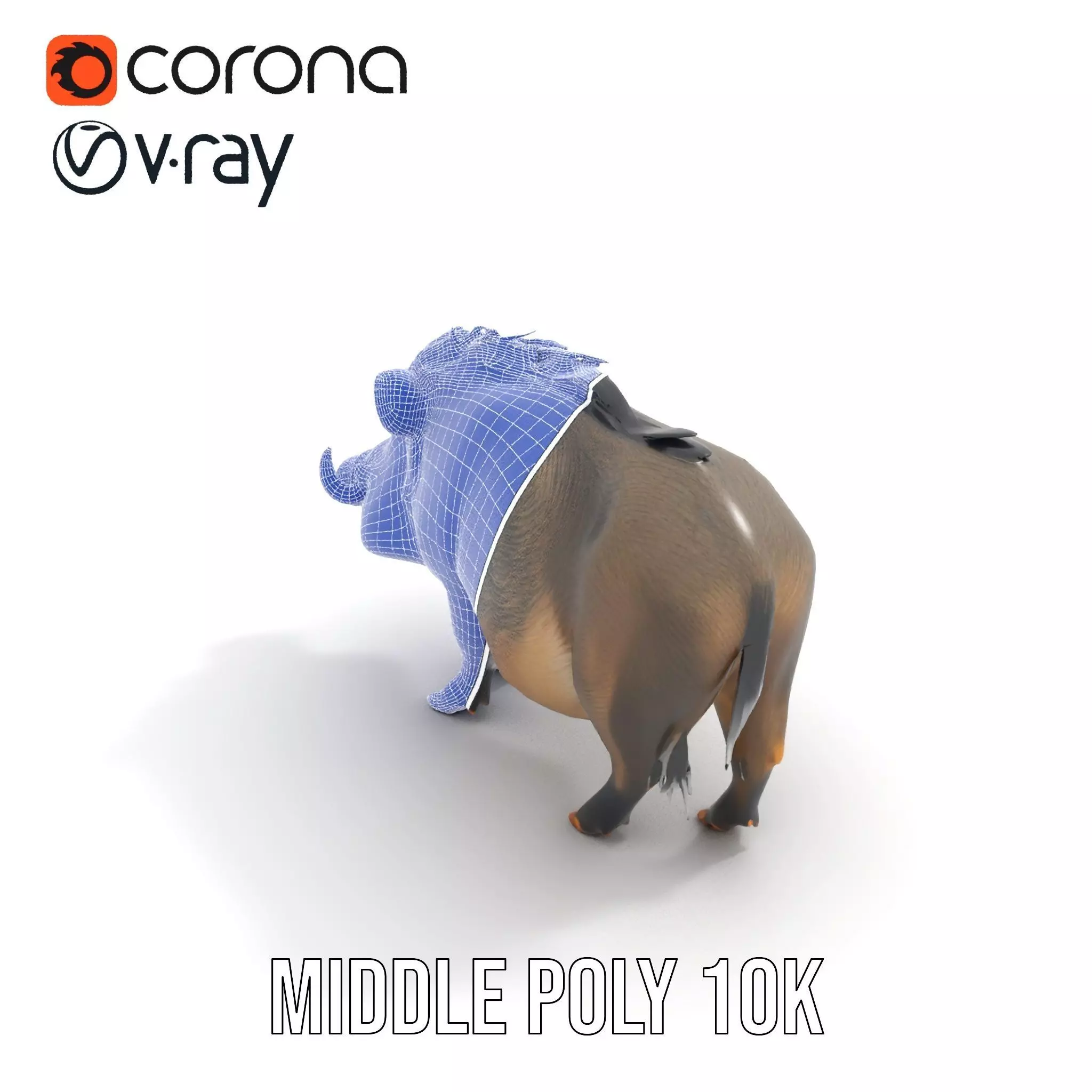 Wild Boar Detailed model pack Low-poly 3D model_21