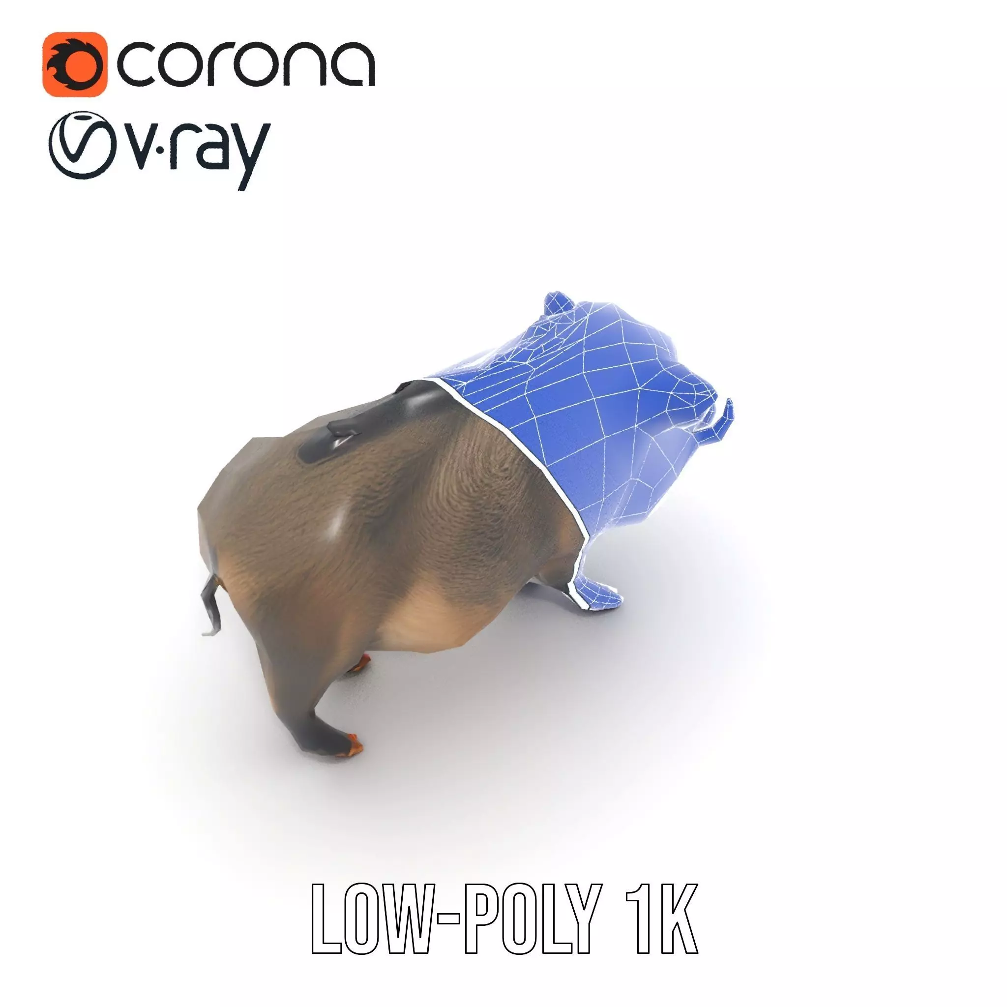 Wild Boar Detailed model pack Low-poly 3D model_31