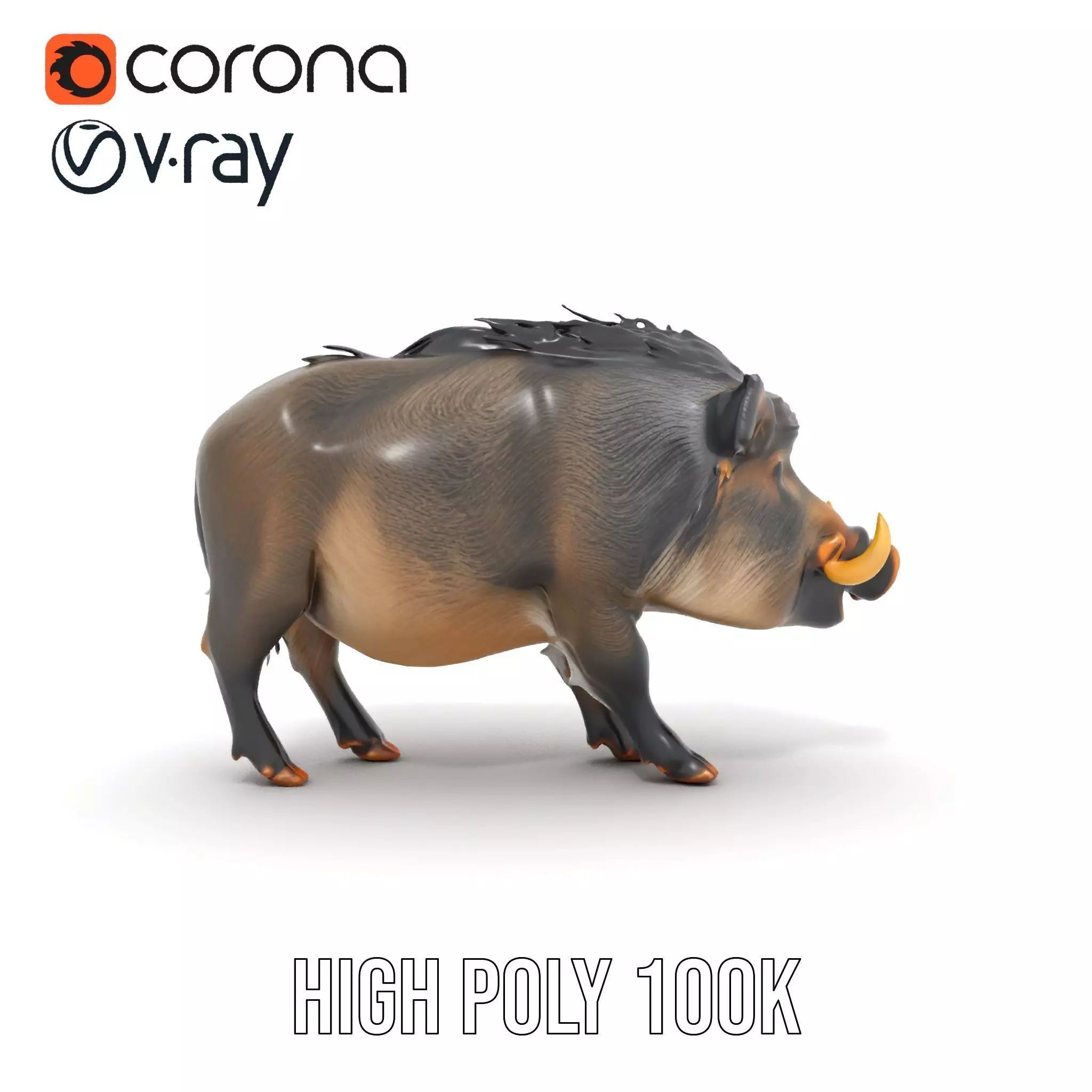 Wild Boar Detailed model pack Low-poly 3D model_18
