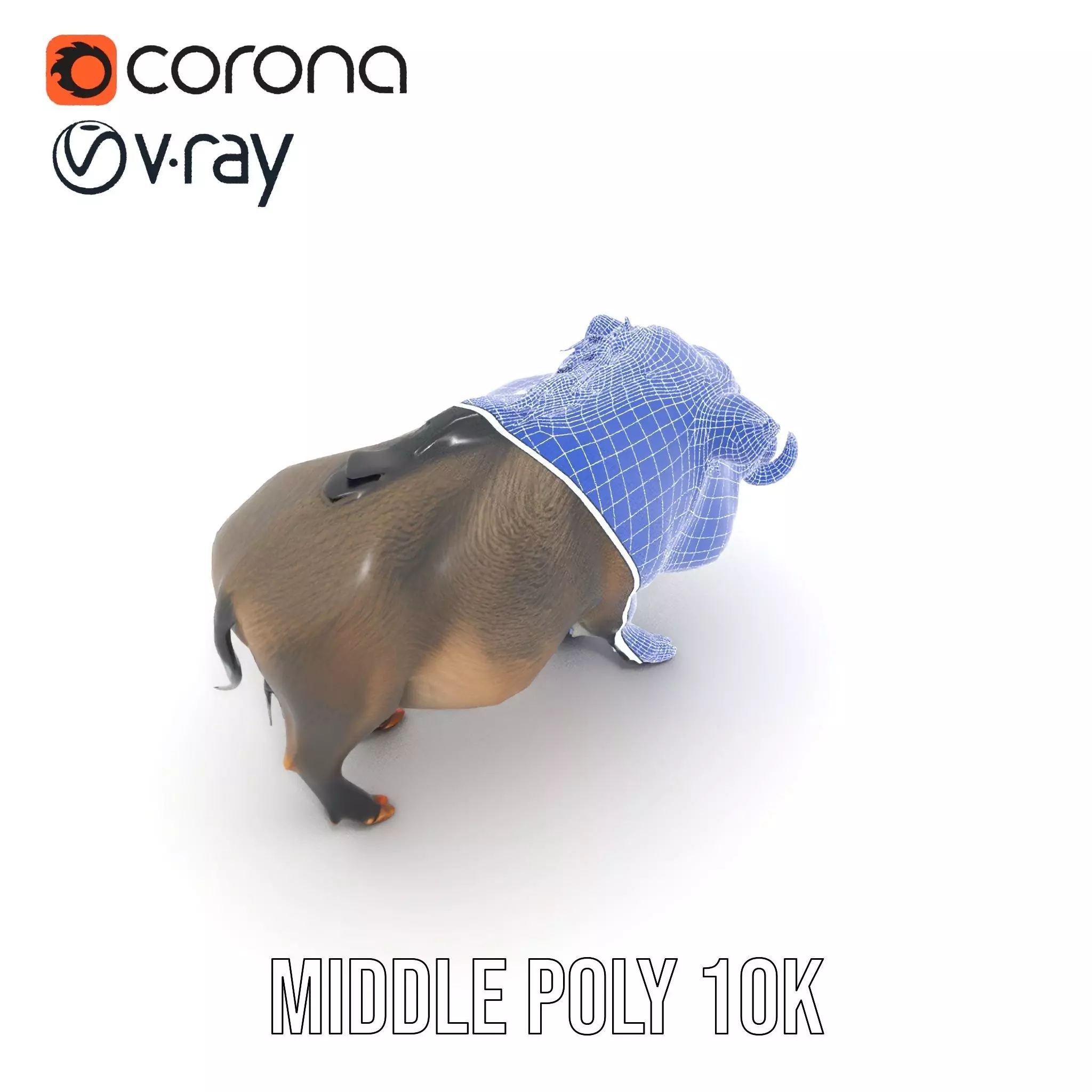 Wild Boar Detailed model pack Low-poly 3D model_24