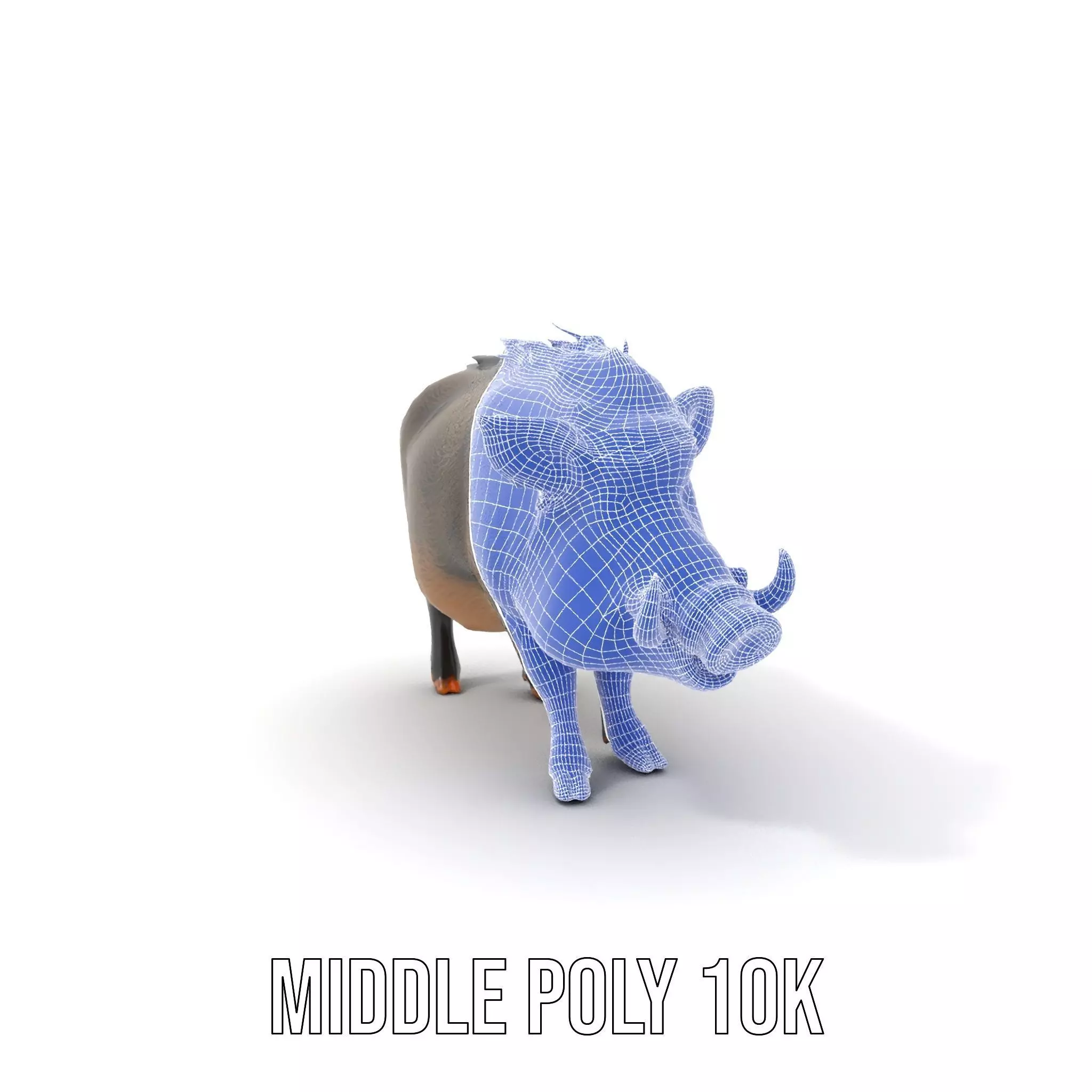 Wild Boar Detailed model pack Low-poly 3D model_19