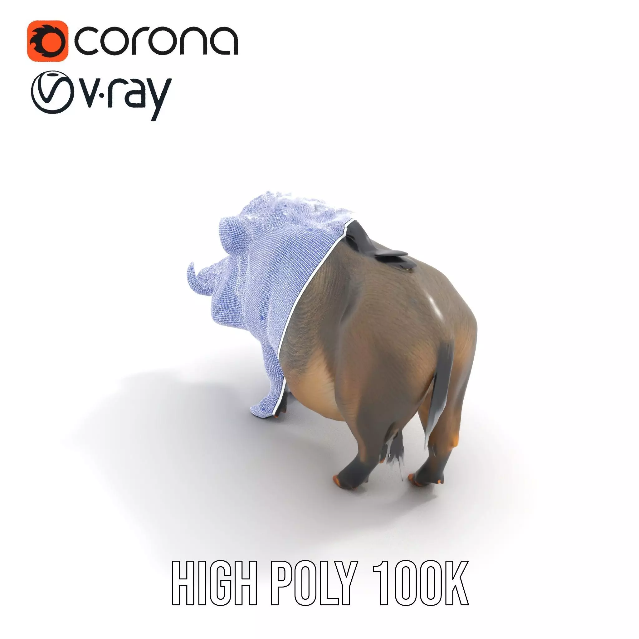 Wild Boar Detailed model pack Low-poly 3D model_15