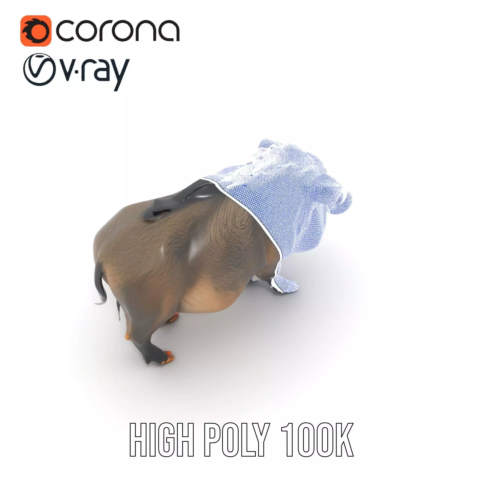 Wild Boar Detailed model pack Low-poly 3D model_32