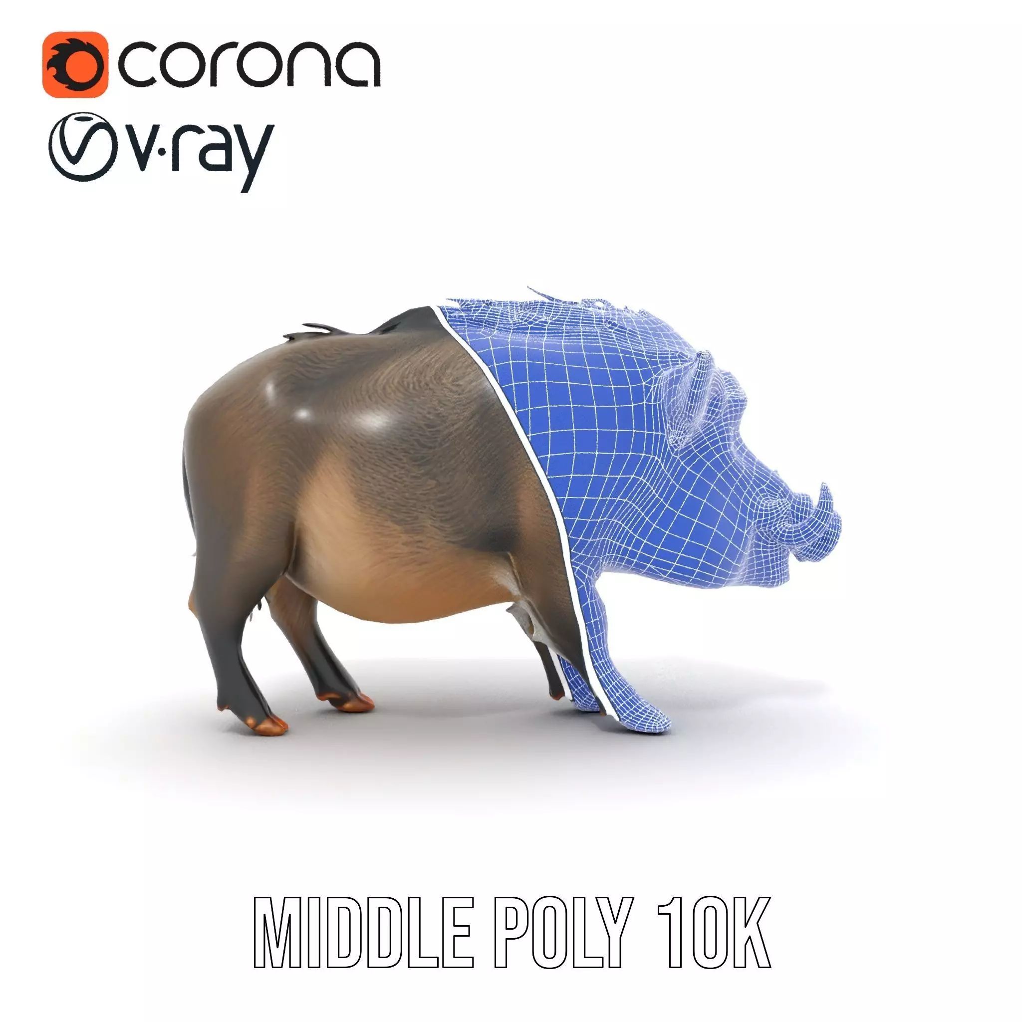 Wild Boar Detailed model pack Low-poly 3D model_30