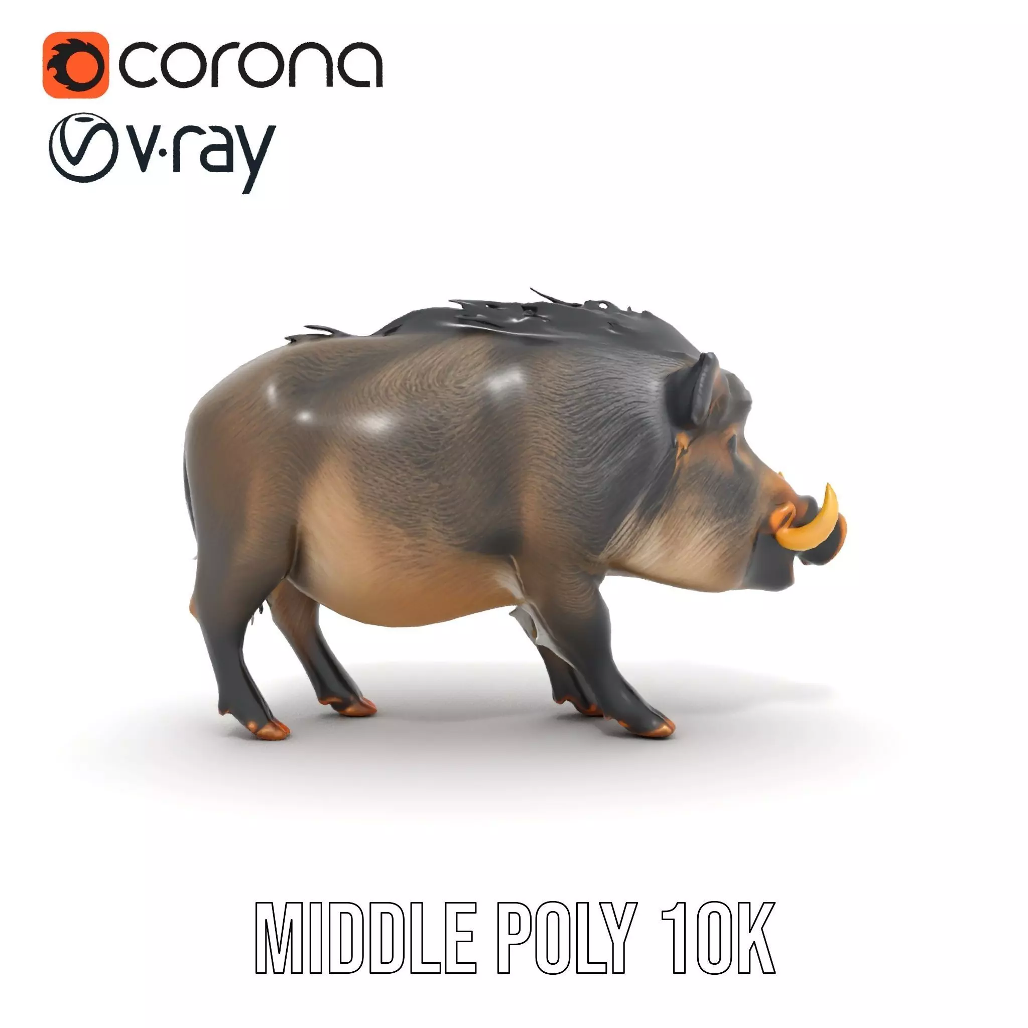 Wild Boar Detailed model pack Low-poly 3D model_16