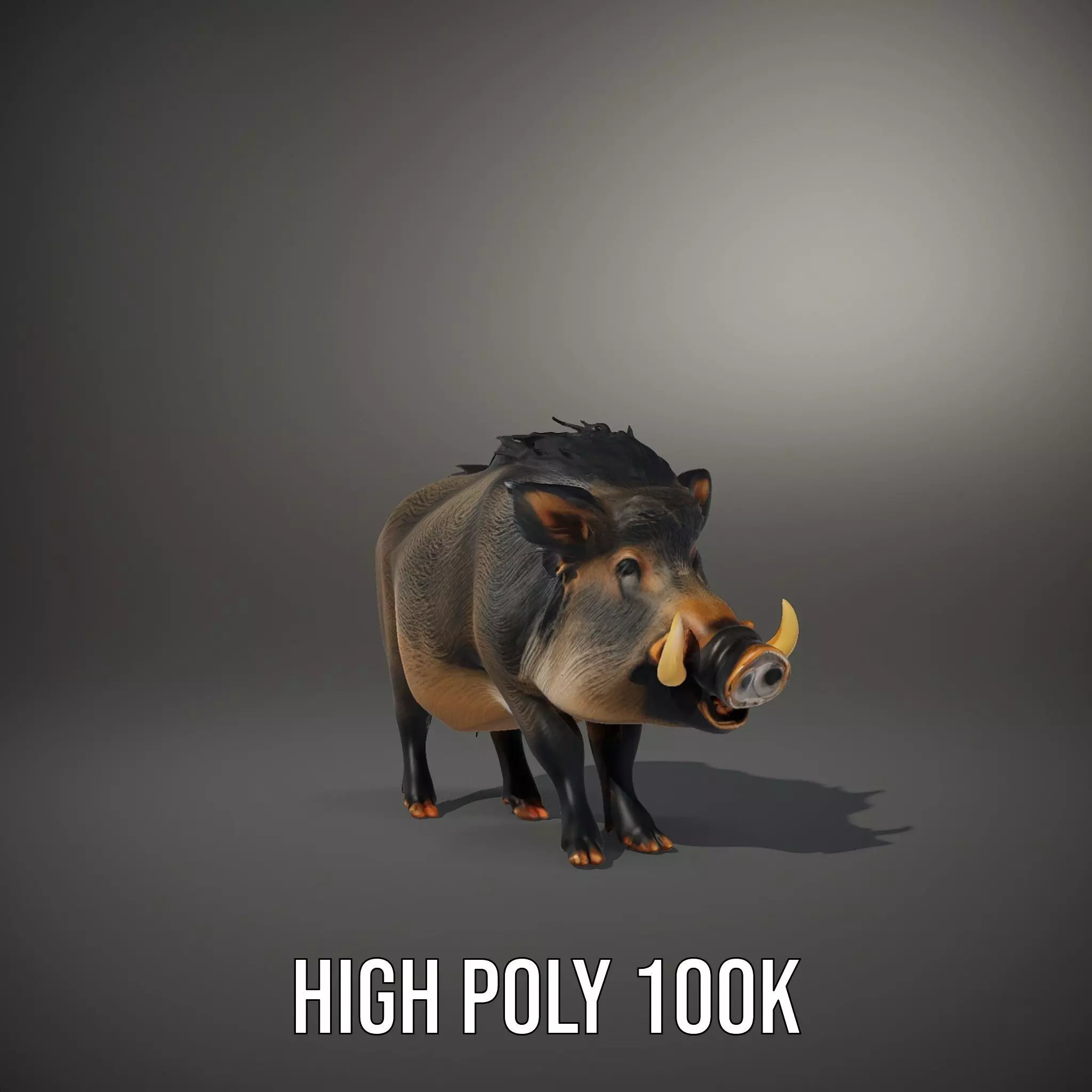 Wild Boar Detailed model pack Low-poly 3D model_10