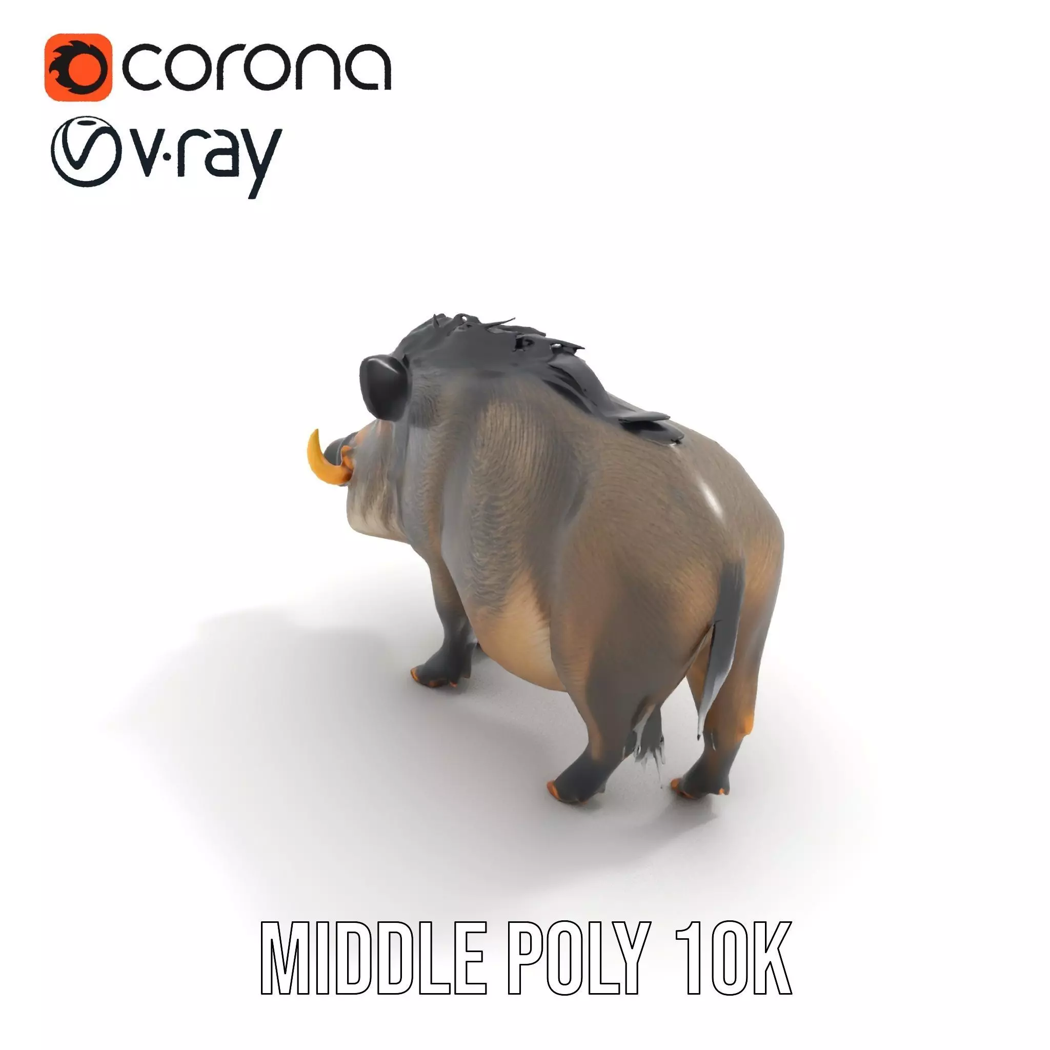 Wild Boar Detailed model pack Low-poly 3D model_11