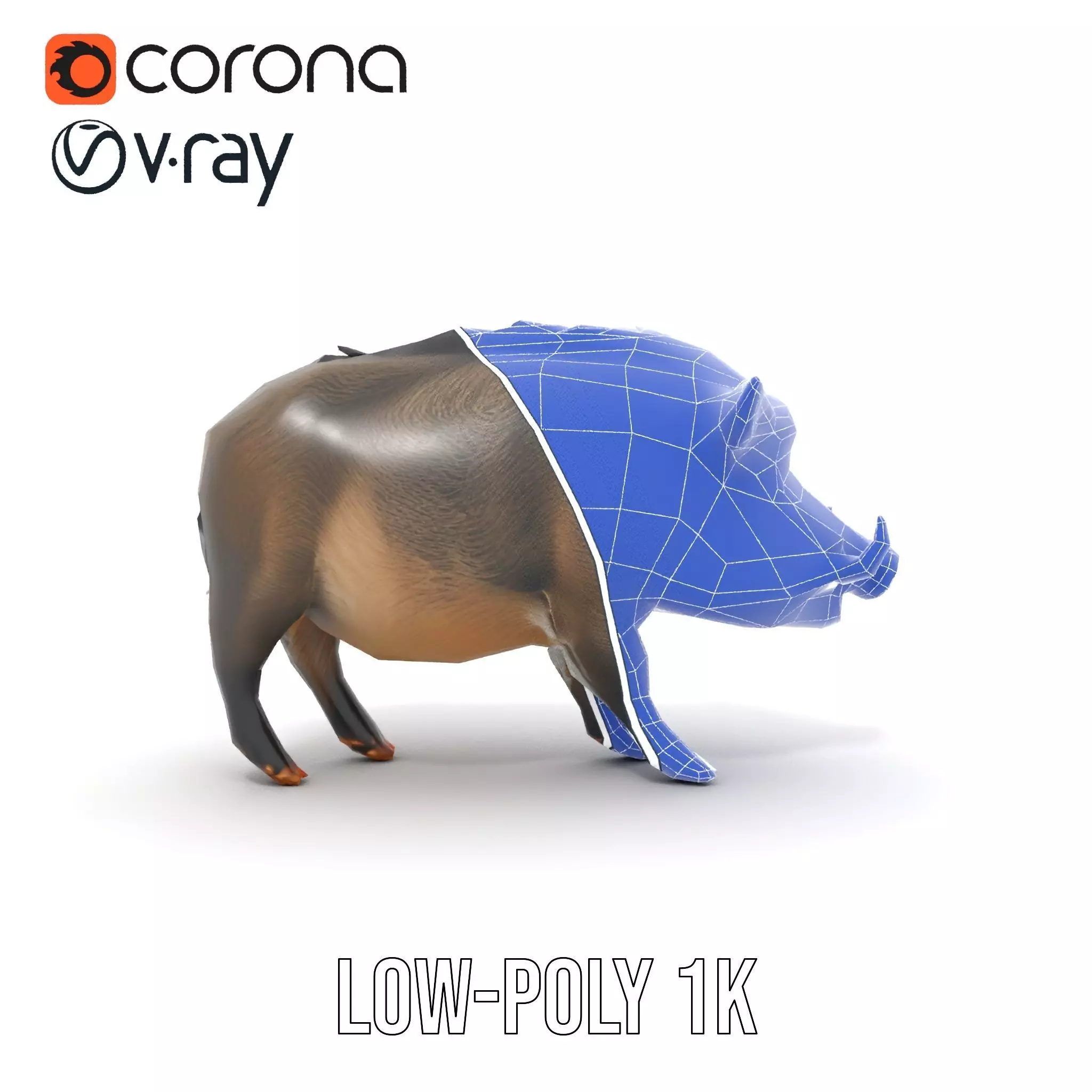 Wild Boar Detailed model pack Low-poly 3D model_28