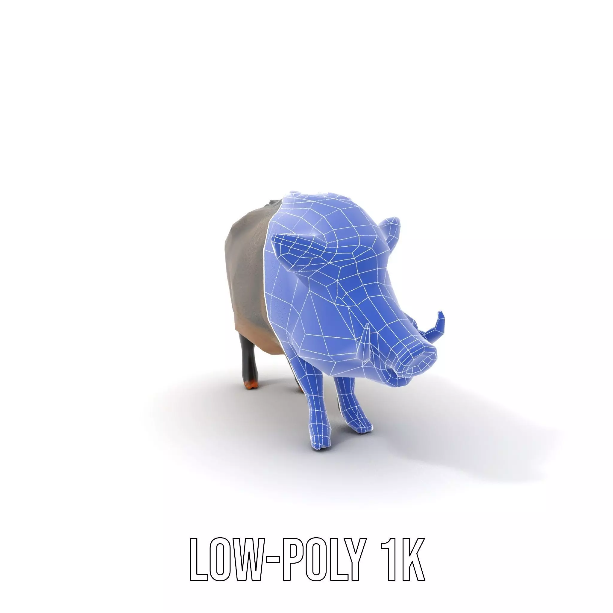 Wild Boar Detailed model pack Low-poly 3D model_22