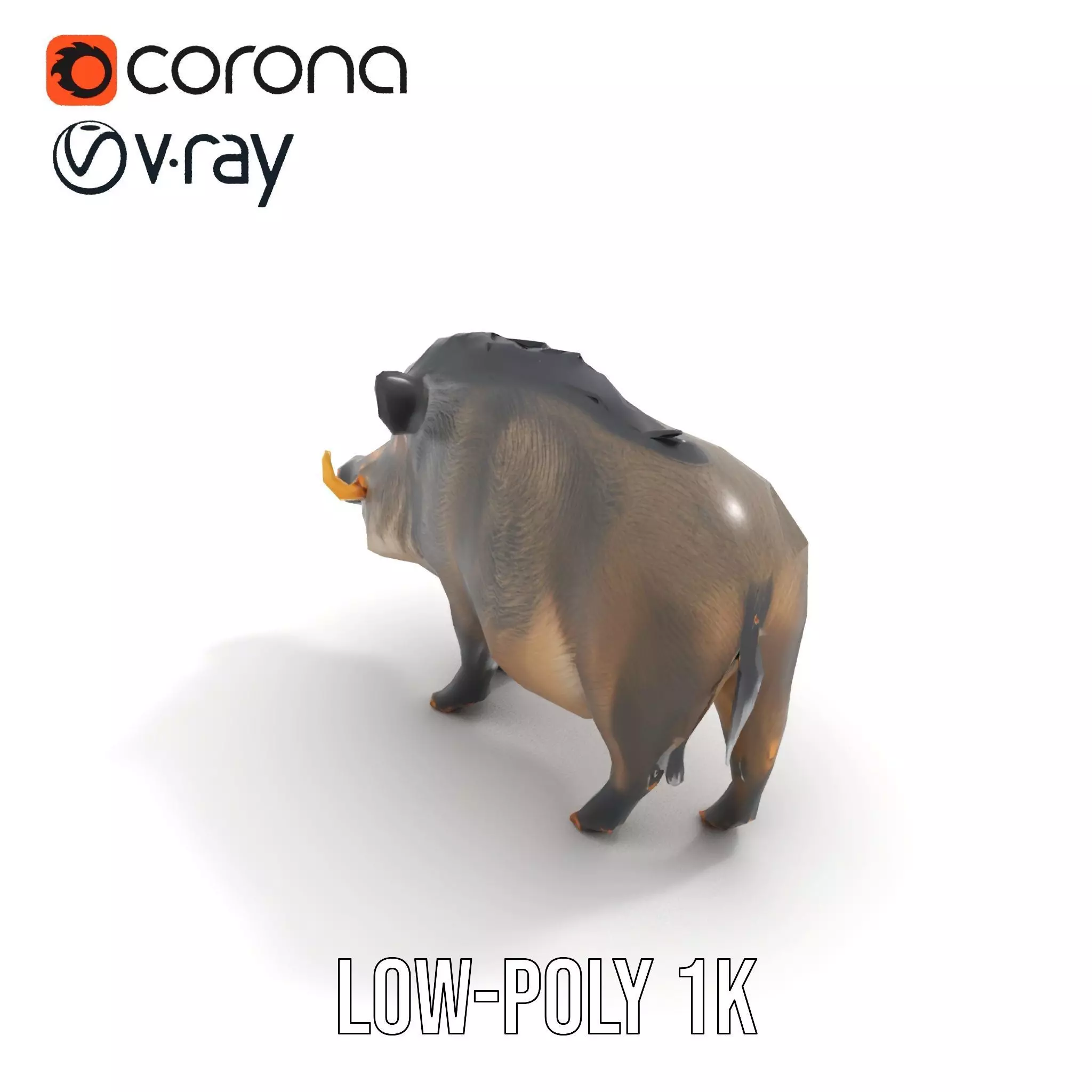 Wild Boar Detailed model pack Low-poly 3D model_14