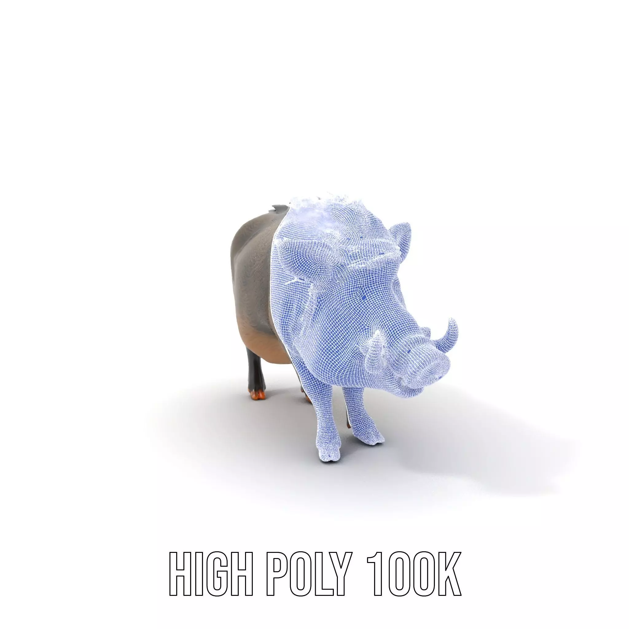 Wild Boar Detailed model pack Low-poly 3D model_4