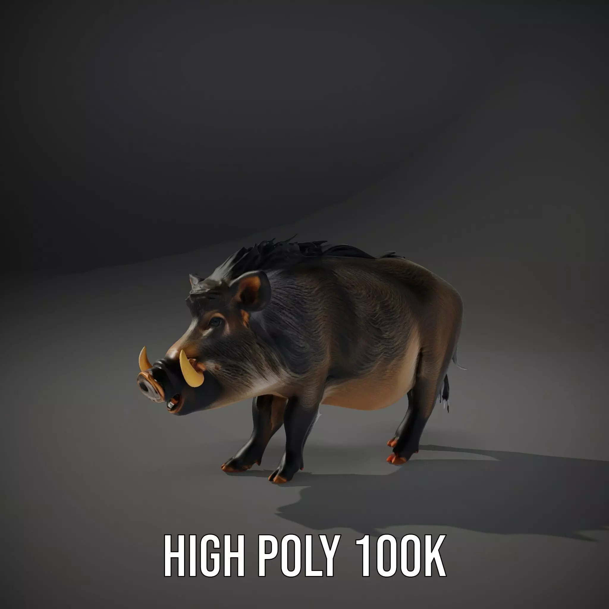 Wild Boar Detailed model pack Low-poly 3D model_8