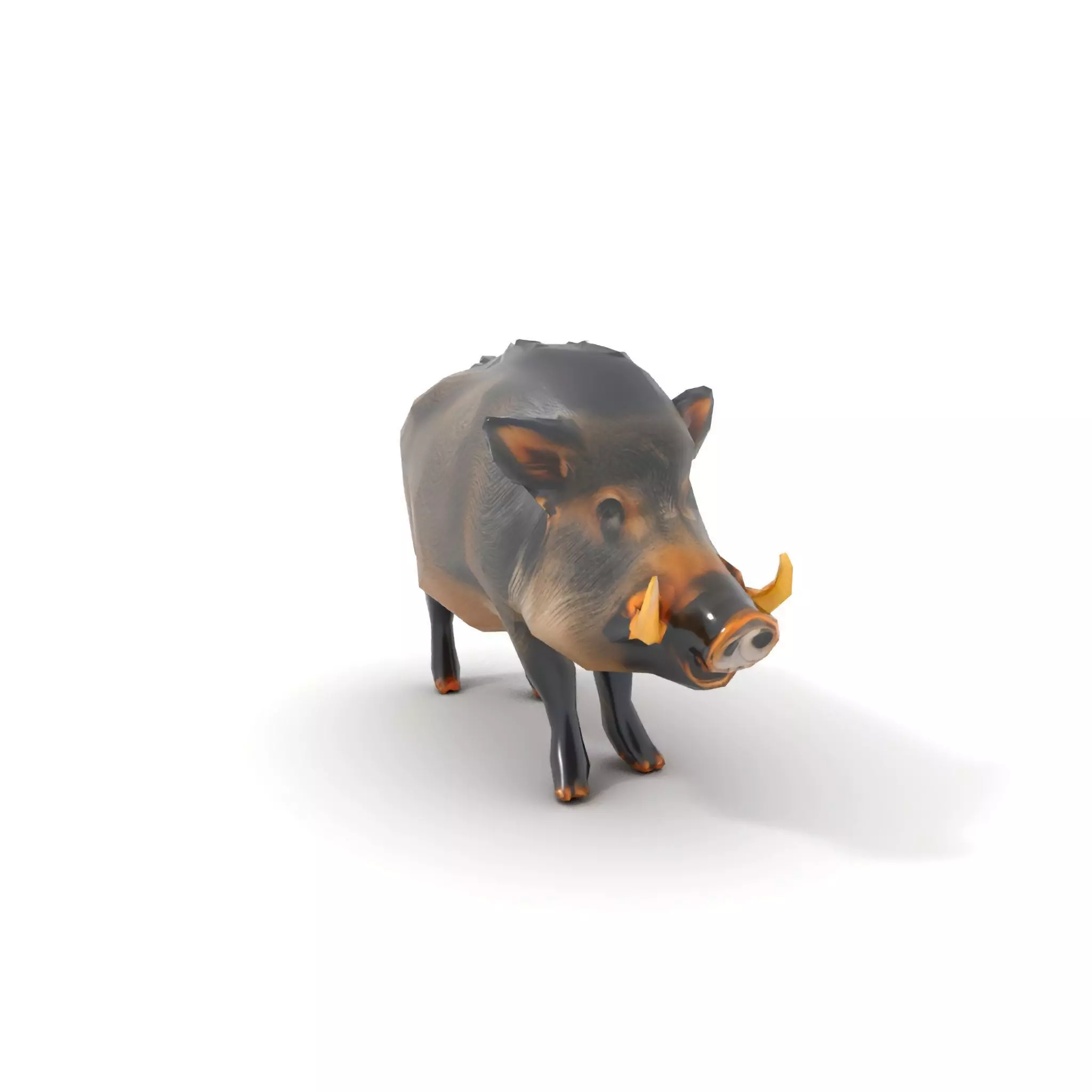 Wild Boar Detailed model pack Low-poly 3D model_20