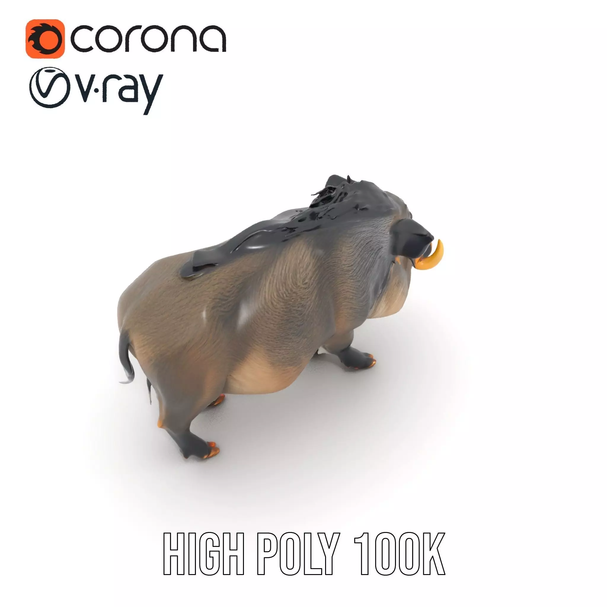Wild Boar Detailed model pack Low-poly 3D model_26