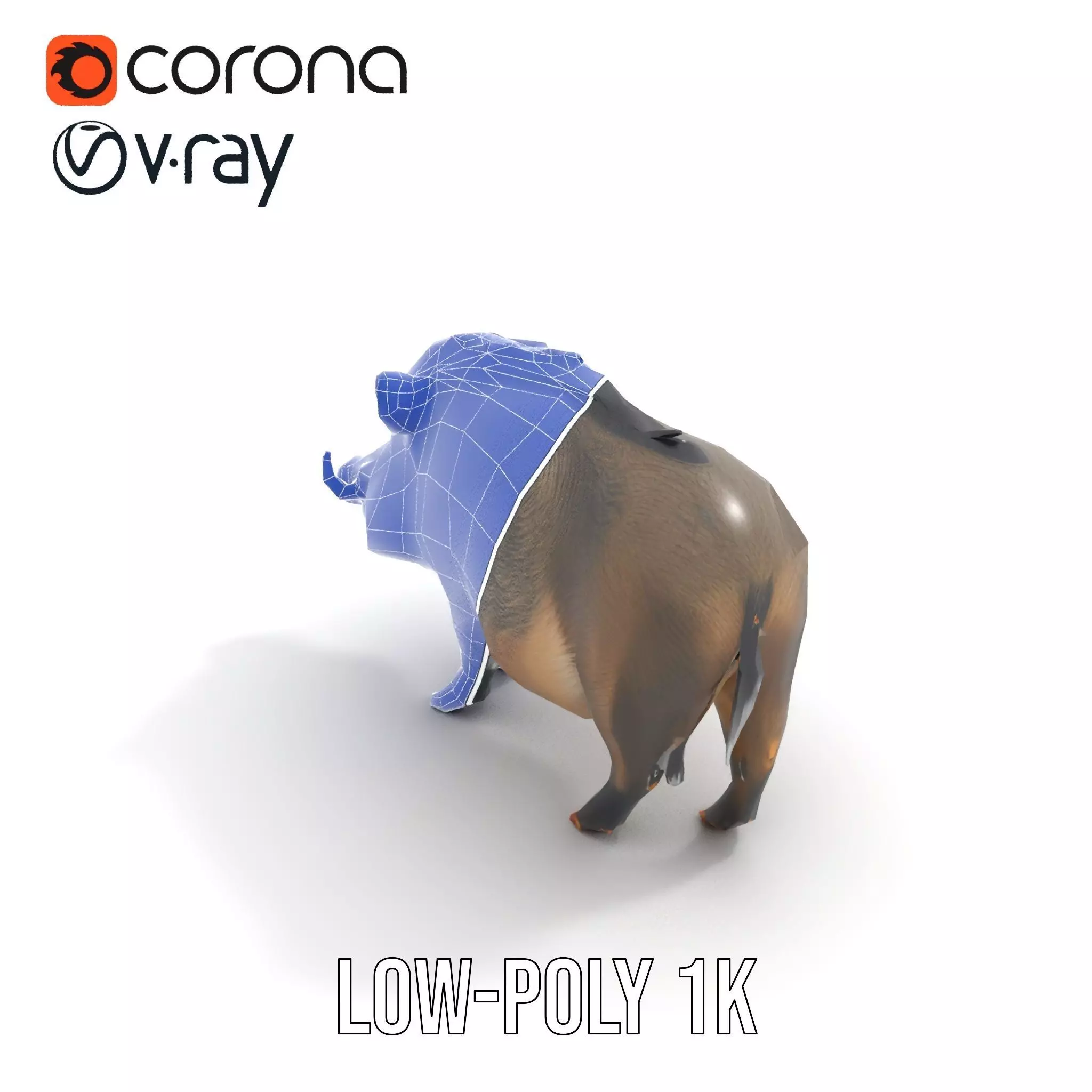 Wild Boar Detailed model pack Low-poly 3D model_17