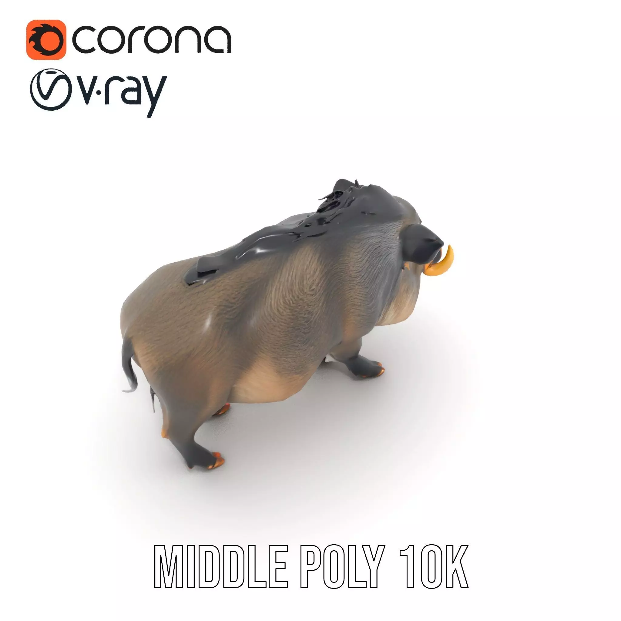 Wild Boar Detailed model pack Low-poly 3D model_5