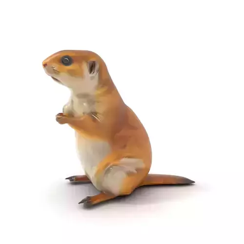 Golden Prairie Dog model pack