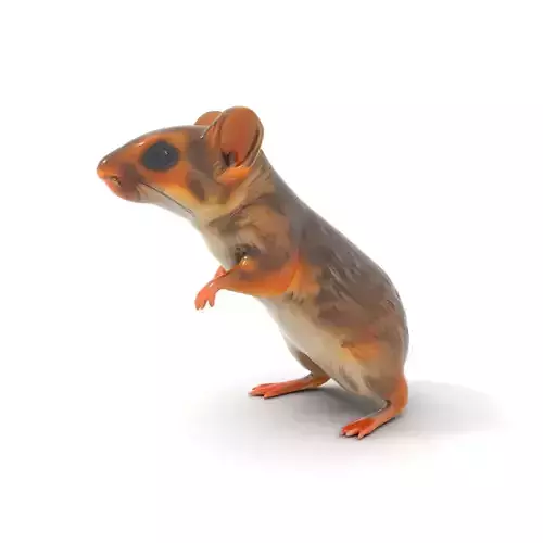 Desert Kangaroo Rat model pack