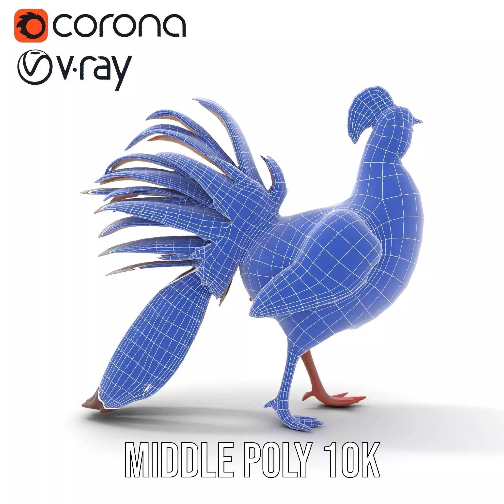 Vibrant Pheasant model pack Low-poly 3D model_16