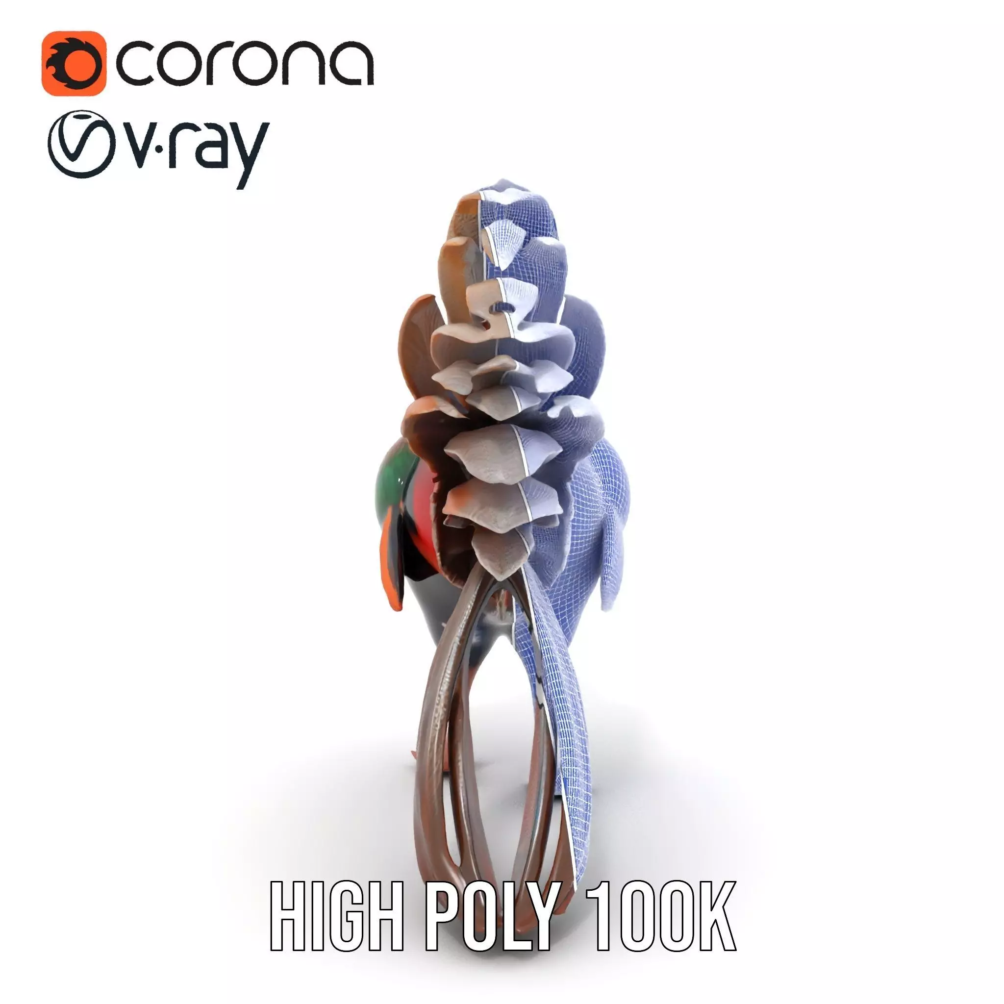 Vibrant Pheasant model pack Low-poly 3D model_31