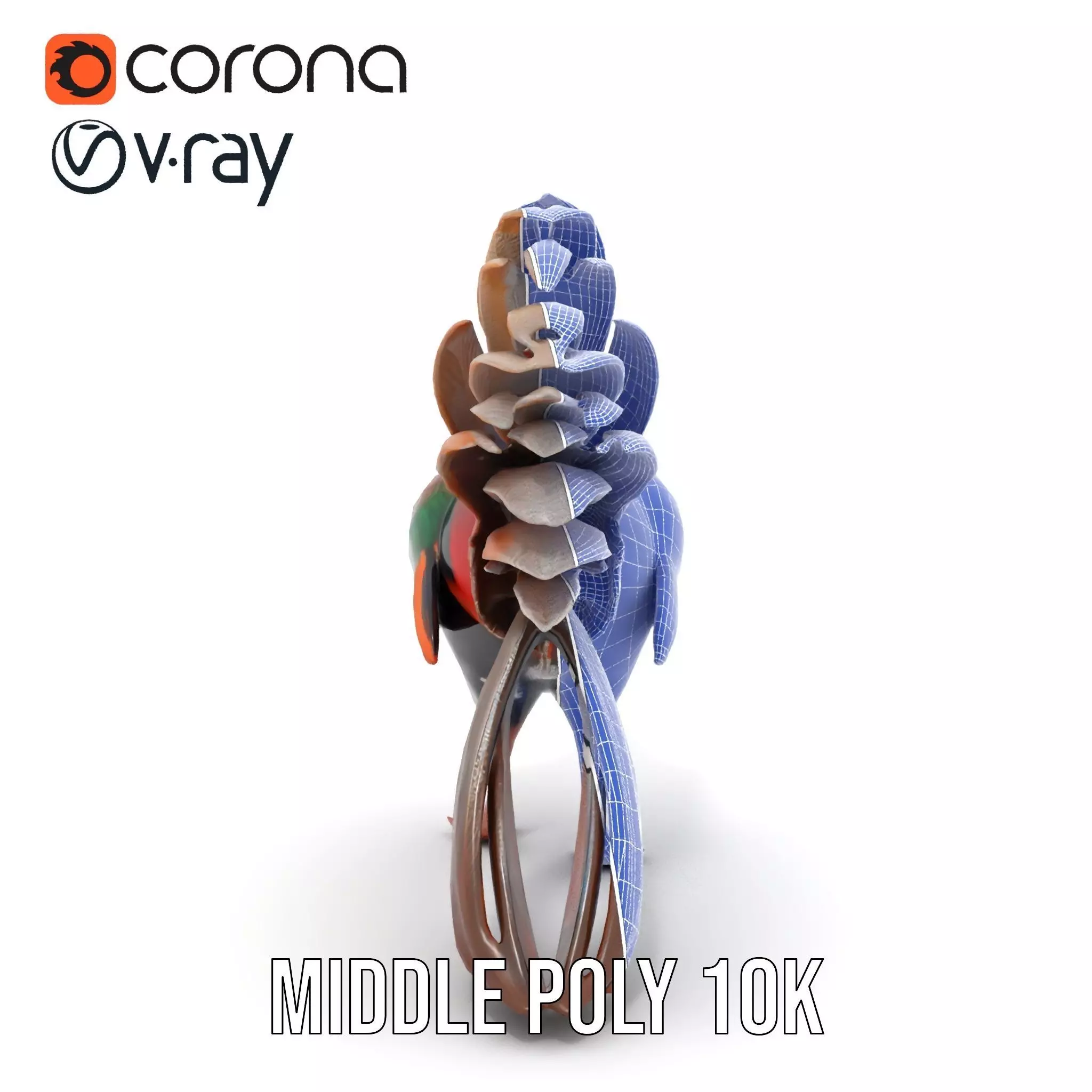 Vibrant Pheasant model pack Low-poly 3D model_29