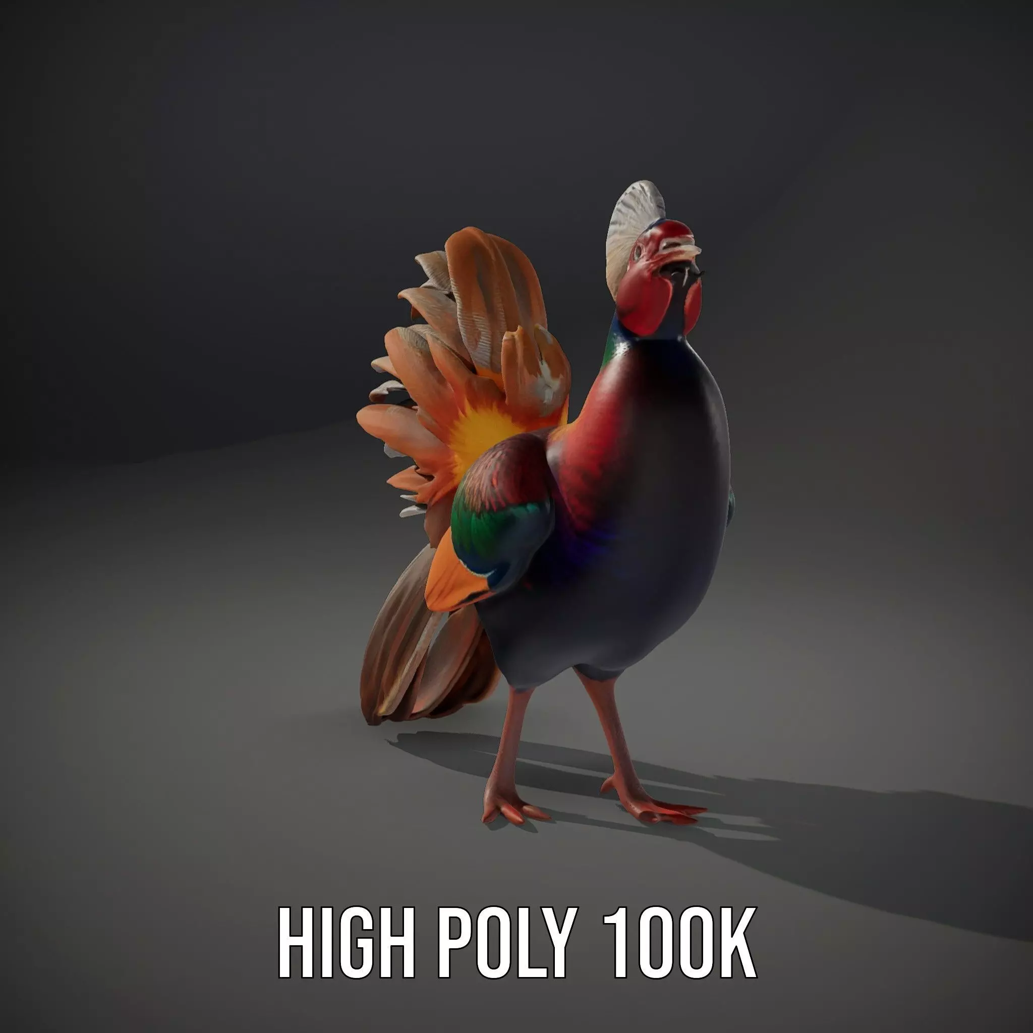 Vibrant Pheasant model pack Low-poly 3D model_10