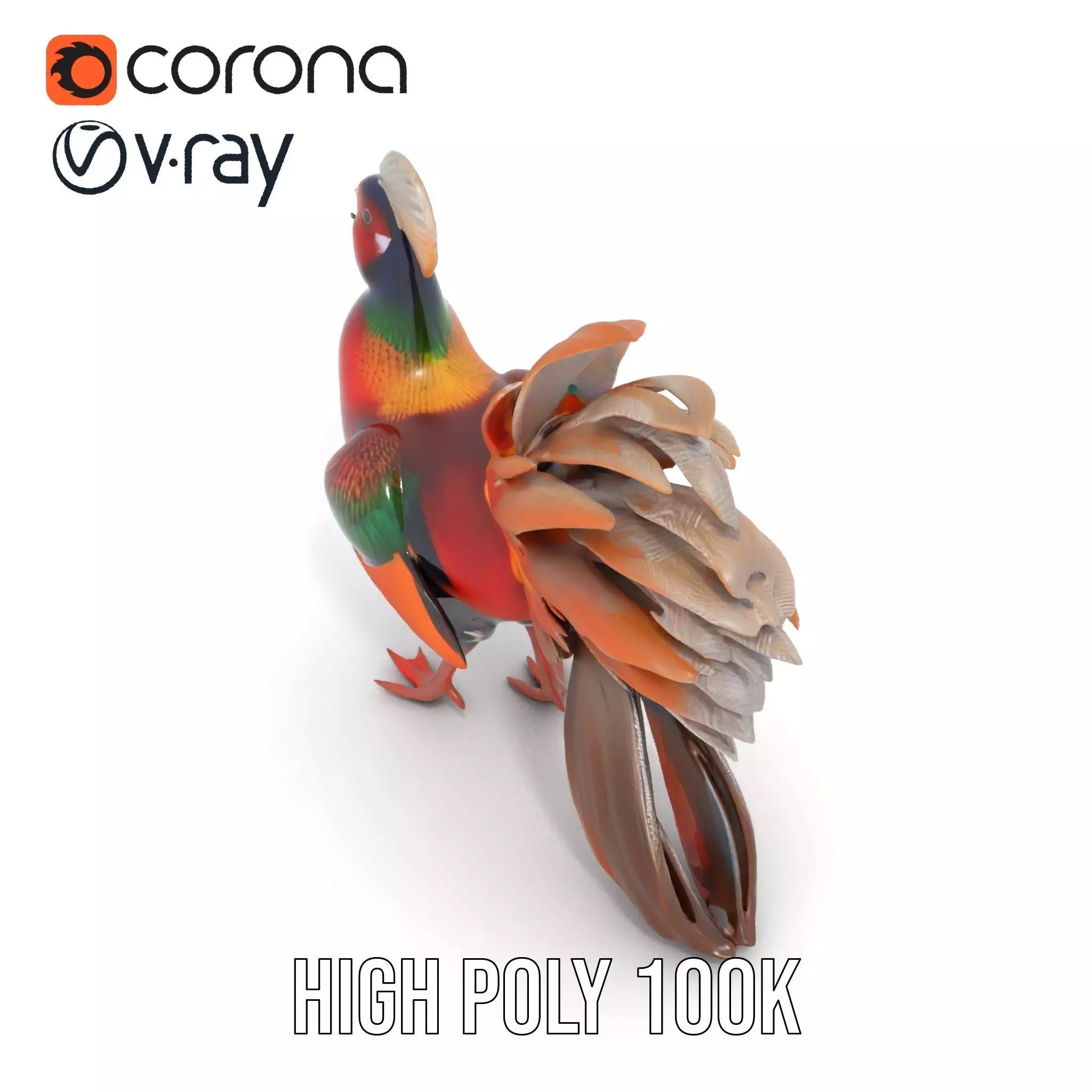 Vibrant Pheasant model pack Low-poly 3D model_15