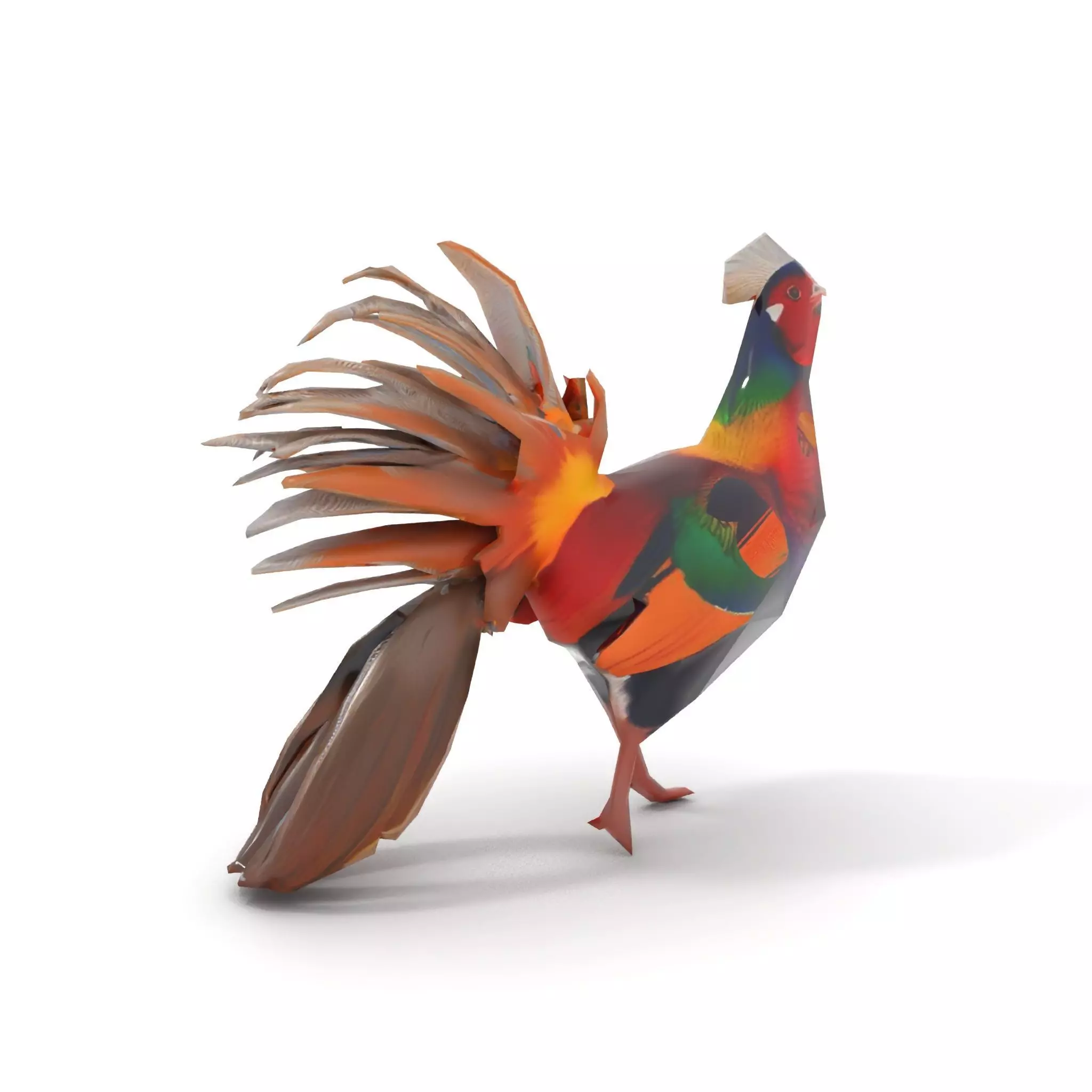 Vibrant Pheasant model pack Low-poly 3D model_7
