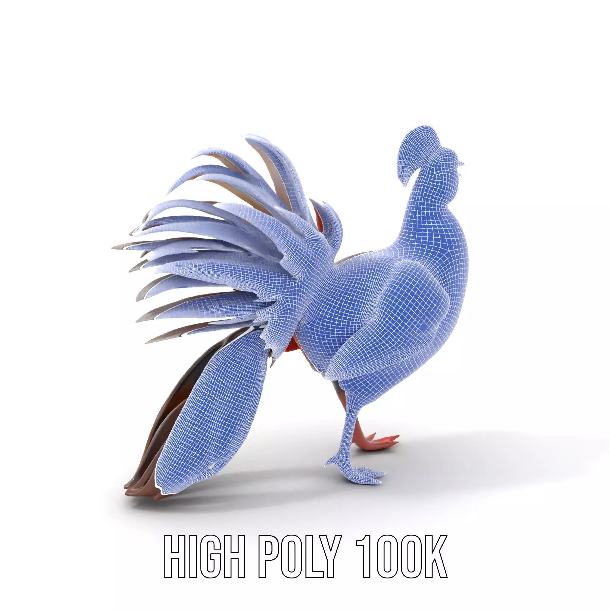 Vibrant Pheasant model pack Low-poly 3D model_4